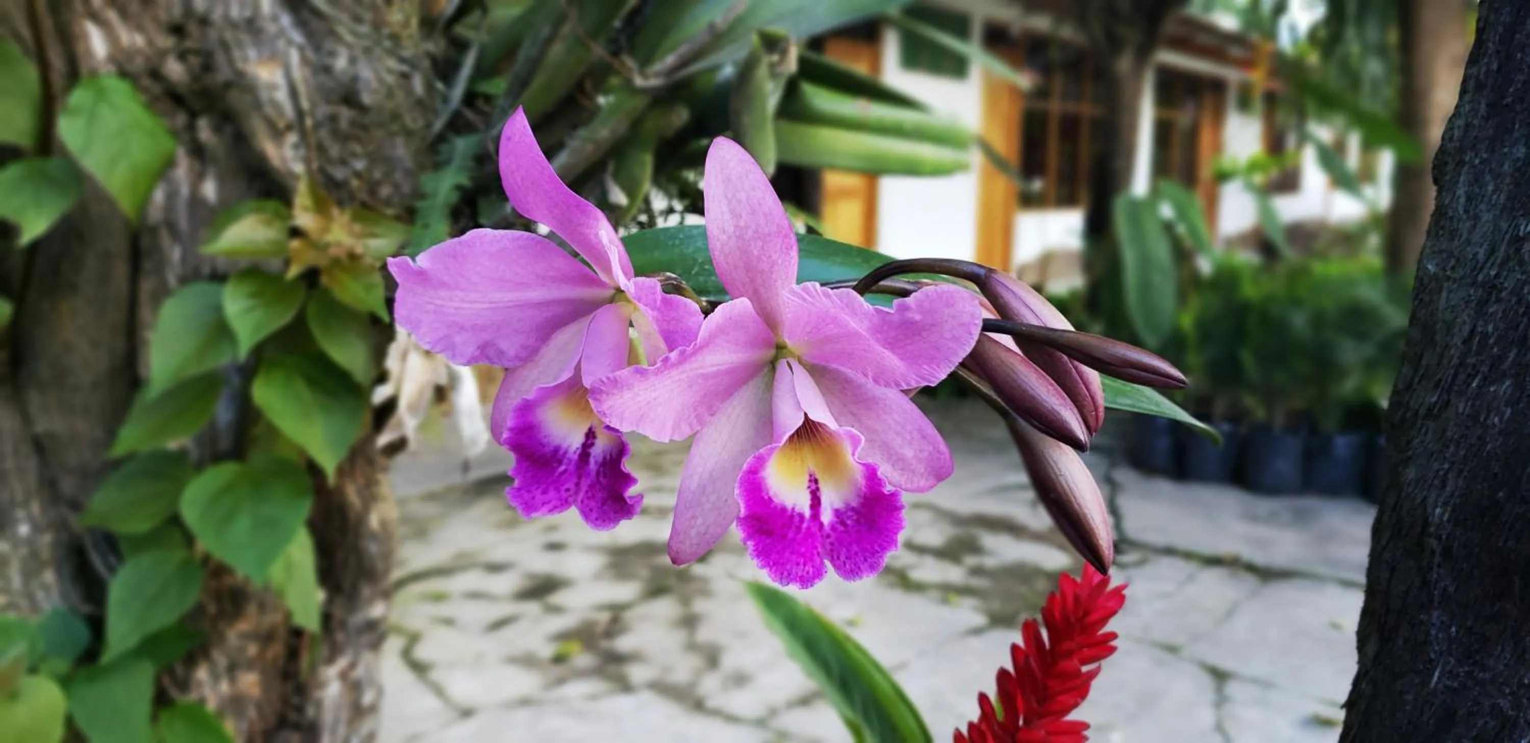 Country Club Eco Casajardin