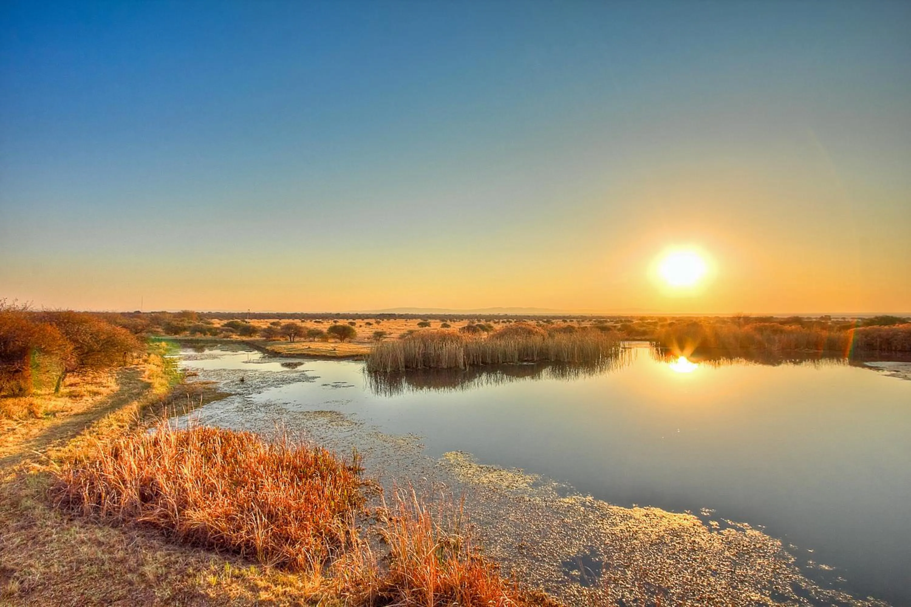 Ditholo Game Lodge Bela Bela