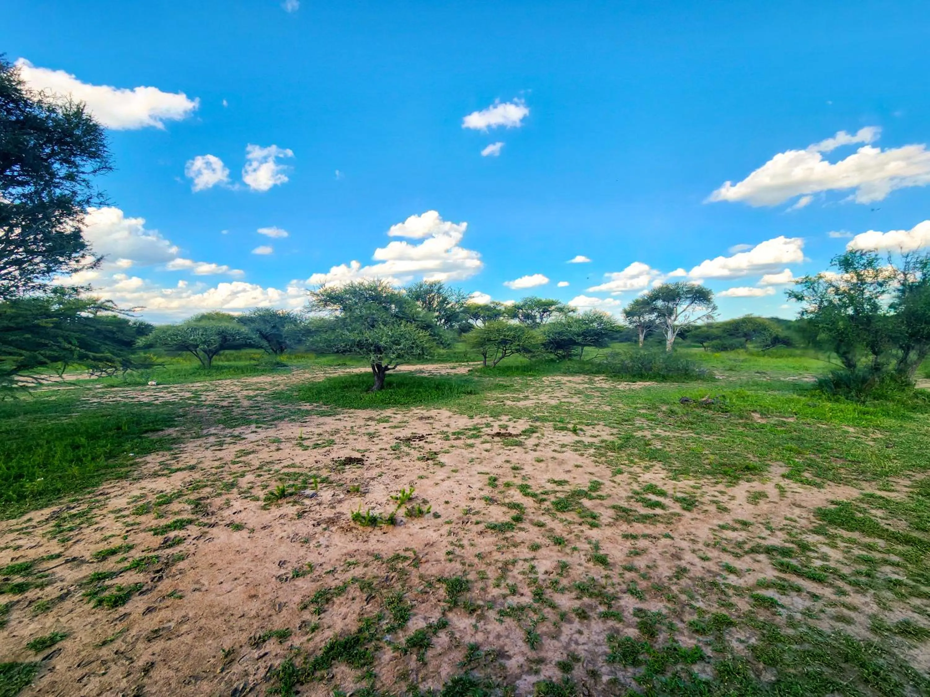 Spring in Ditholo Game Lodge Bela Bela