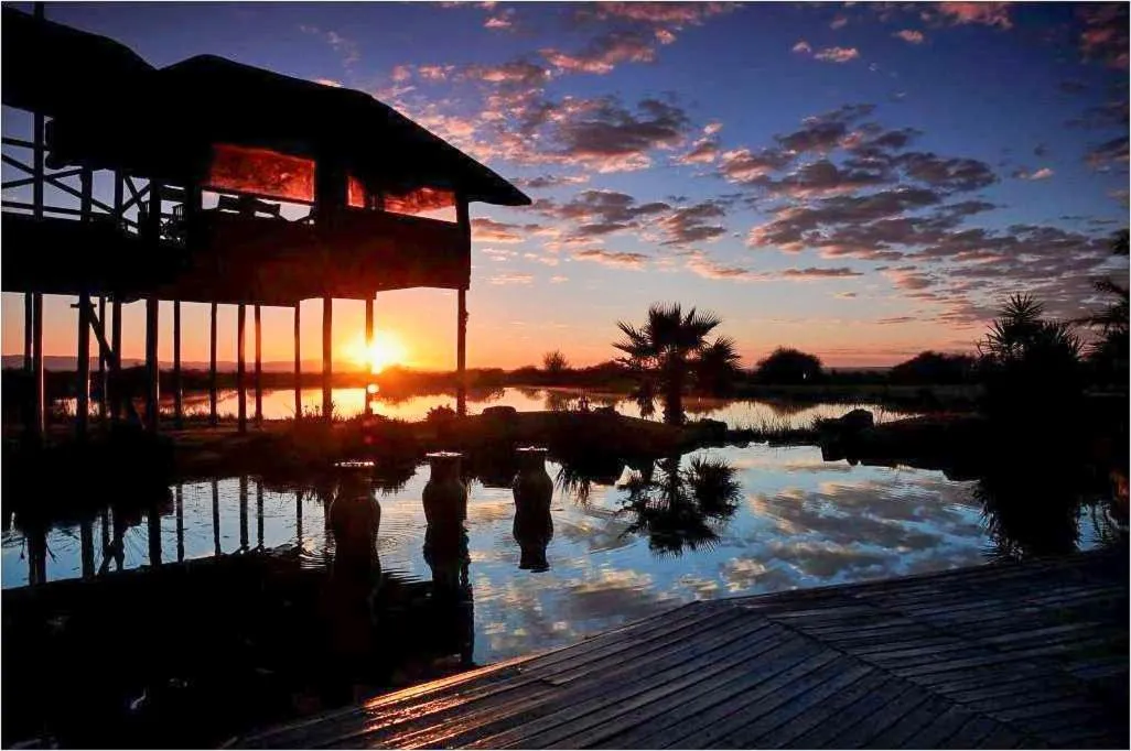 Ditholo Game Lodge Bela Bela