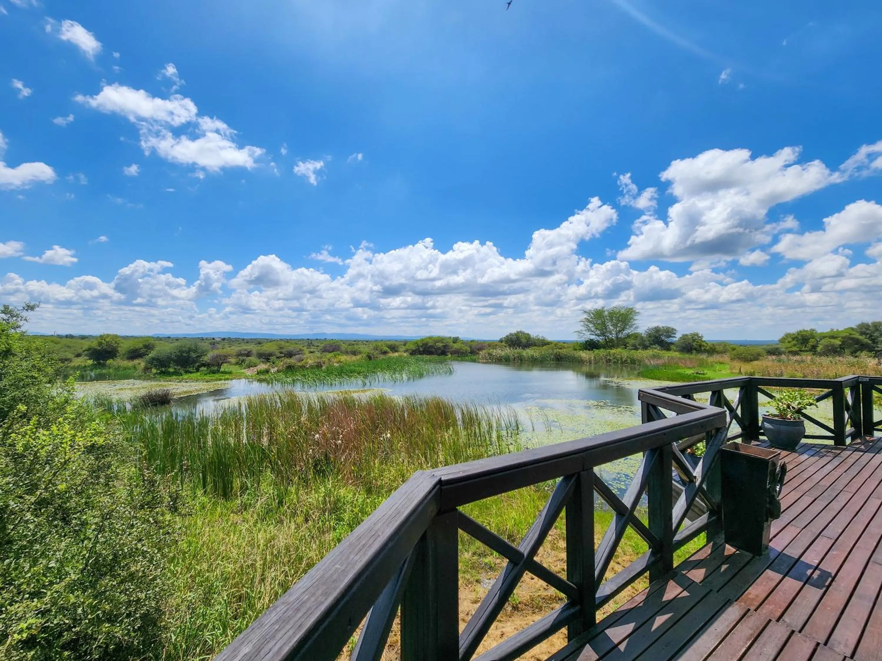 Nearby landmark in Ditholo Game Lodge Bela Bela