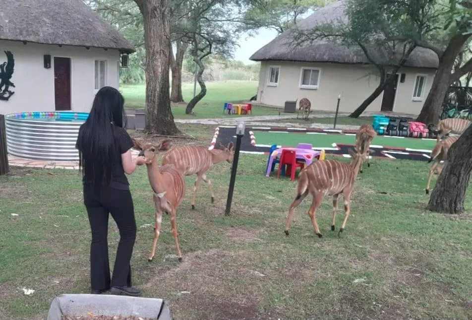 Ditholo Game Lodge Bela Bela