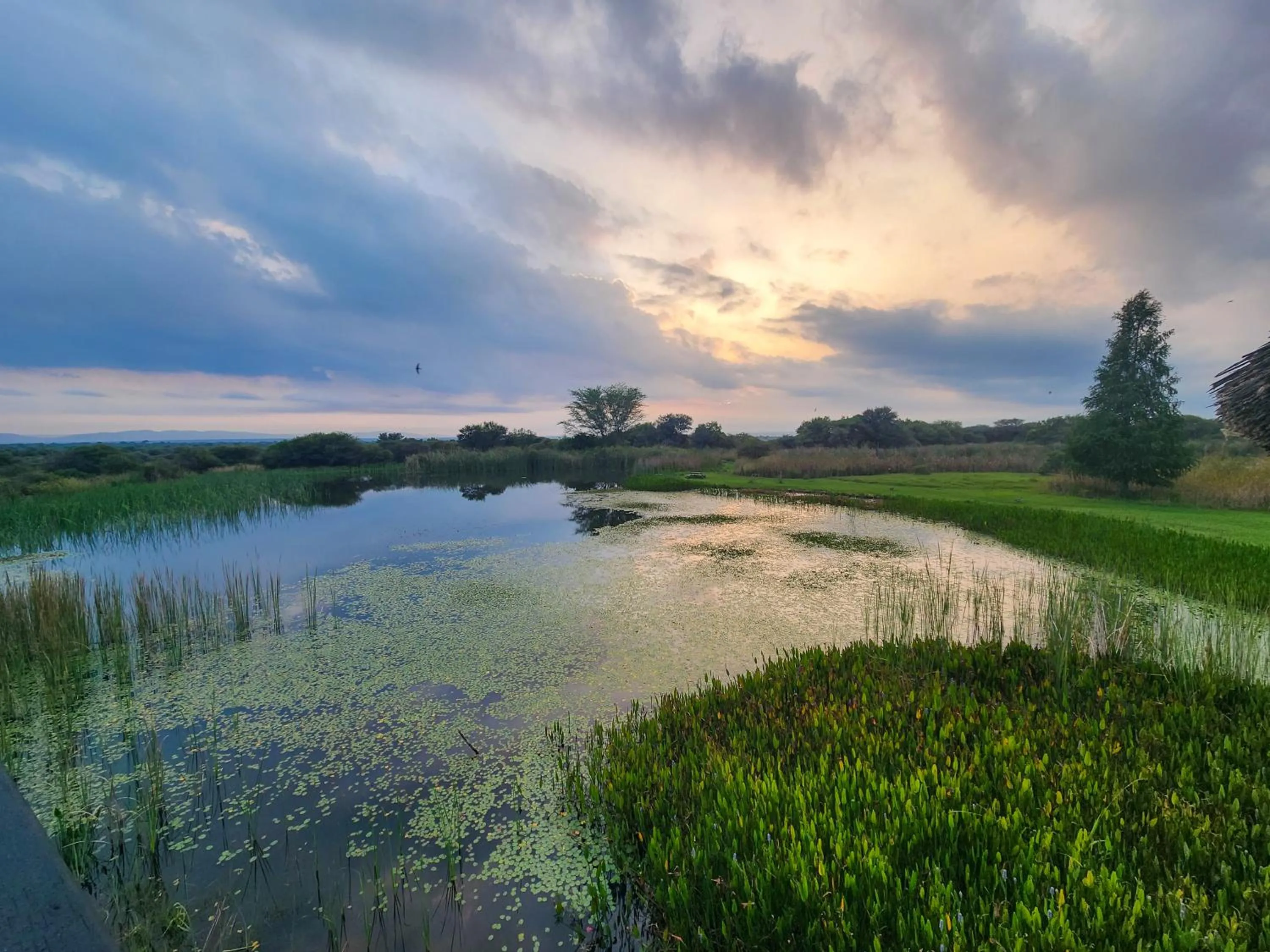 Nearby landmark in Ditholo Game Lodge Bela Bela