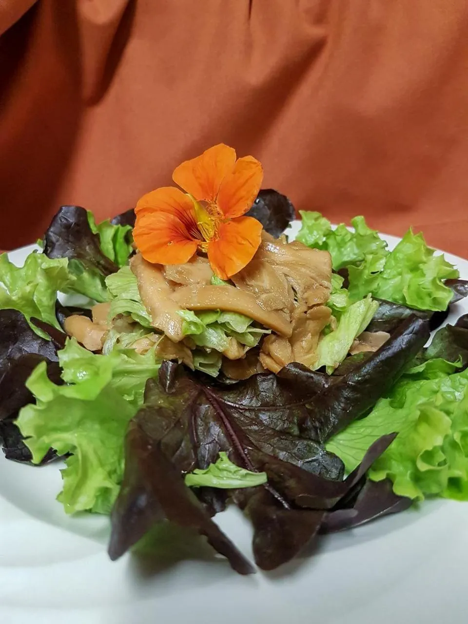 Ditholo Game Lodge Bela Bela