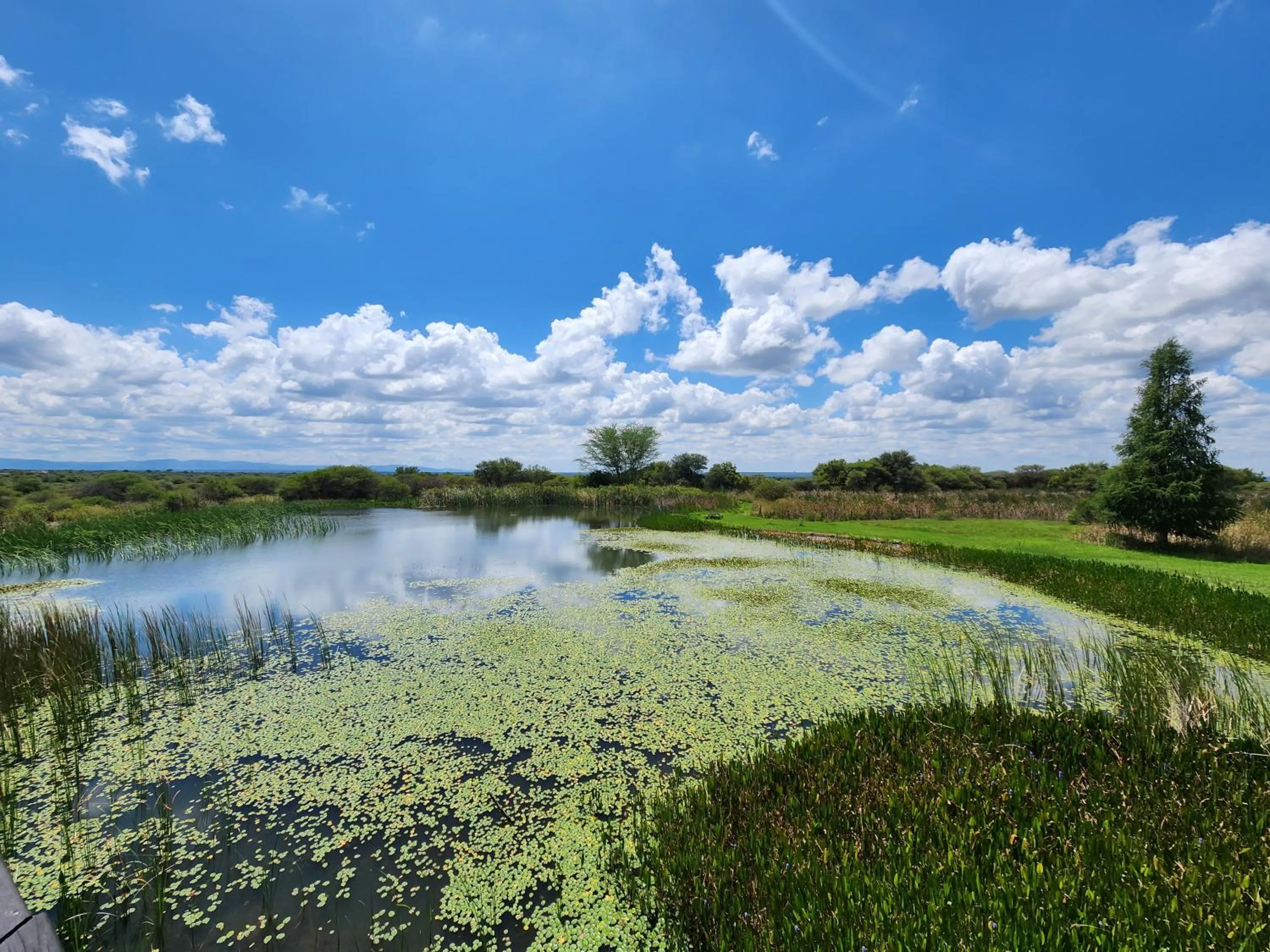 Nearby landmark in Ditholo Game Lodge Bela Bela