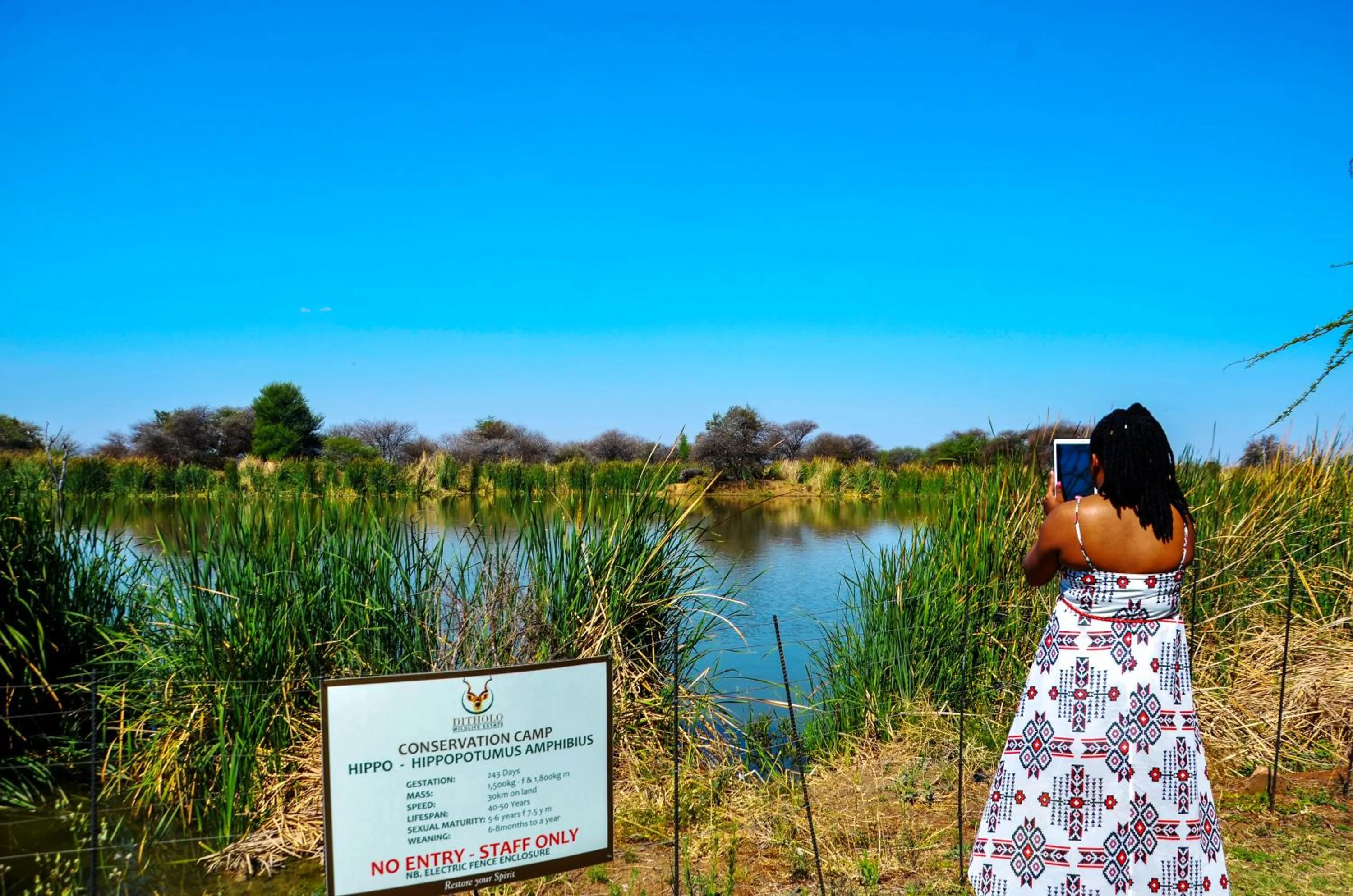 Ditholo Game Lodge Bela Bela