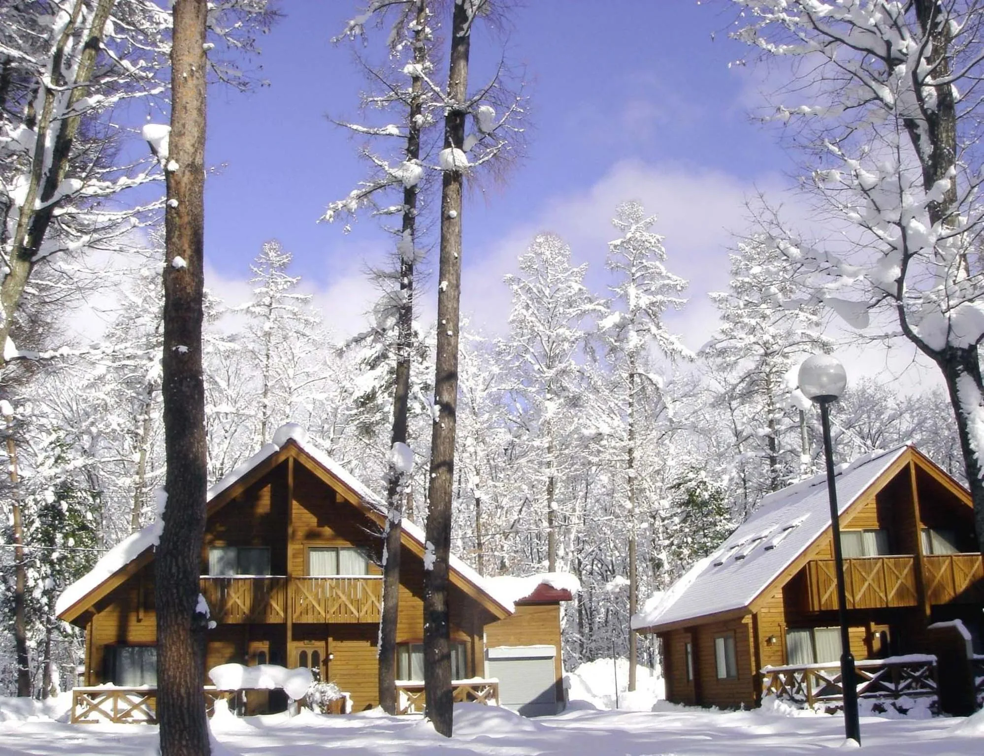 Property building in Log Cottage Epoch