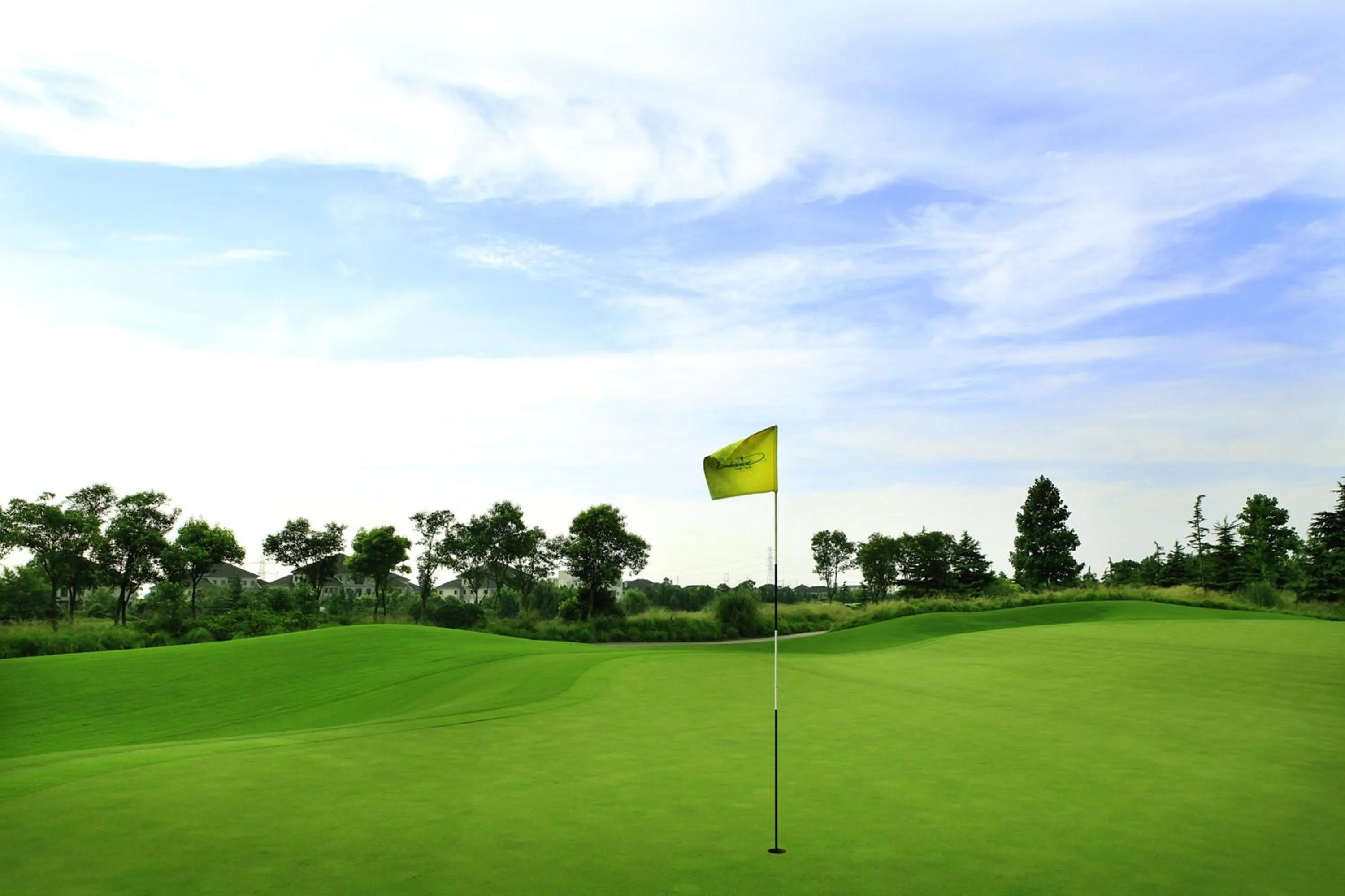 Photo of the whole room, Golf in Crowne Plaza Shanghai Anting, an IHG Hotel
