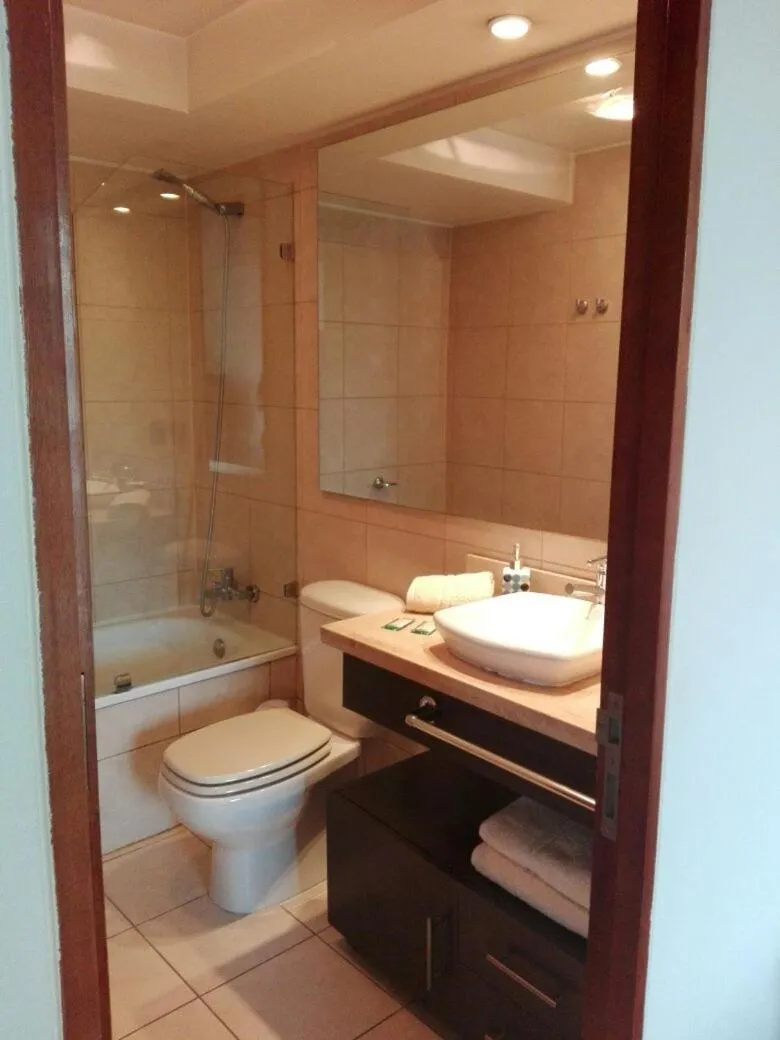 Austral Rentahome Barros Borgoño