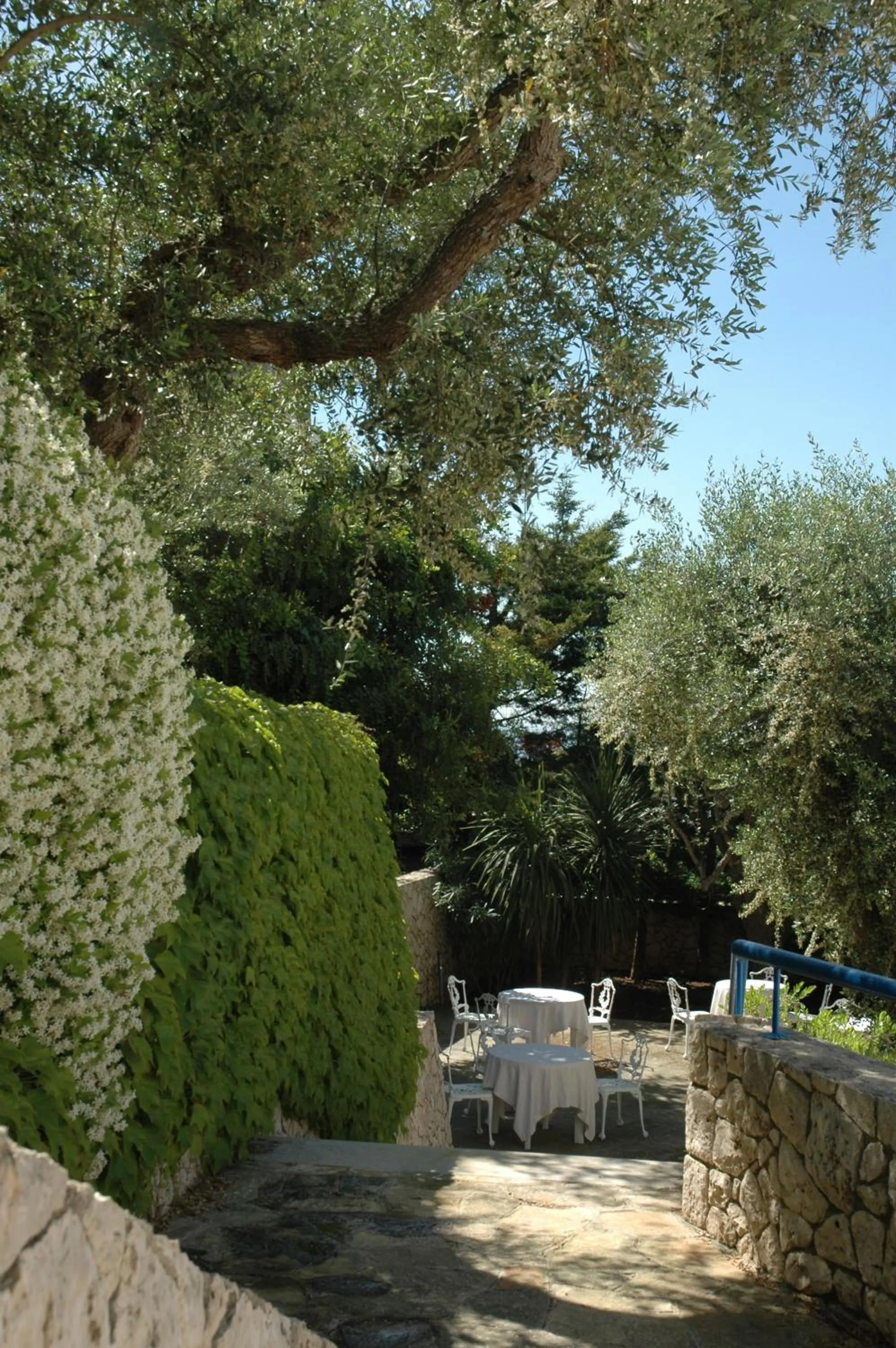Patio in Hotel Selenia Residence
