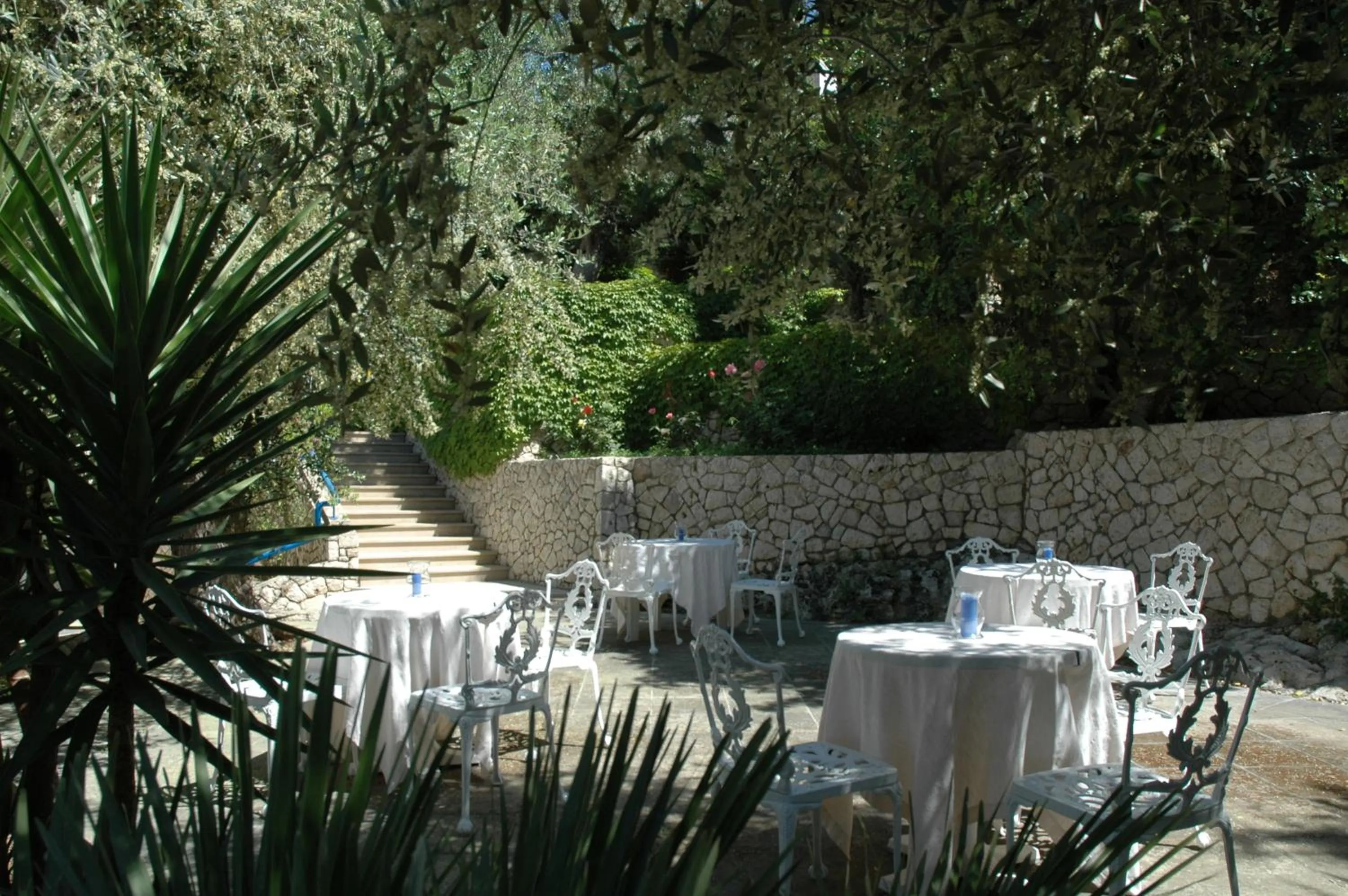 Restaurant/places to eat in Hotel Selenia Residence