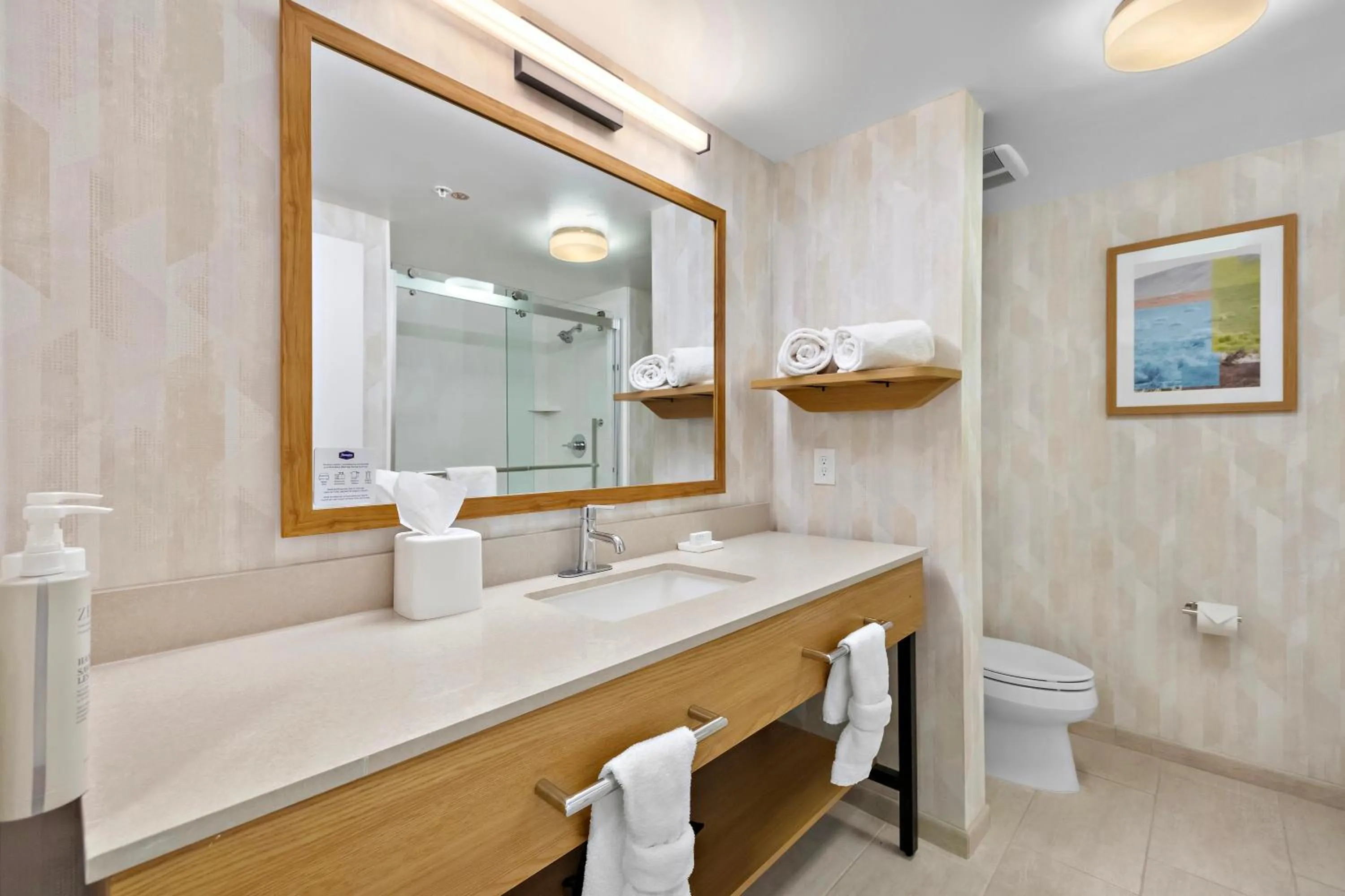 Bathroom in Hampton Inn & Suites Lancaster