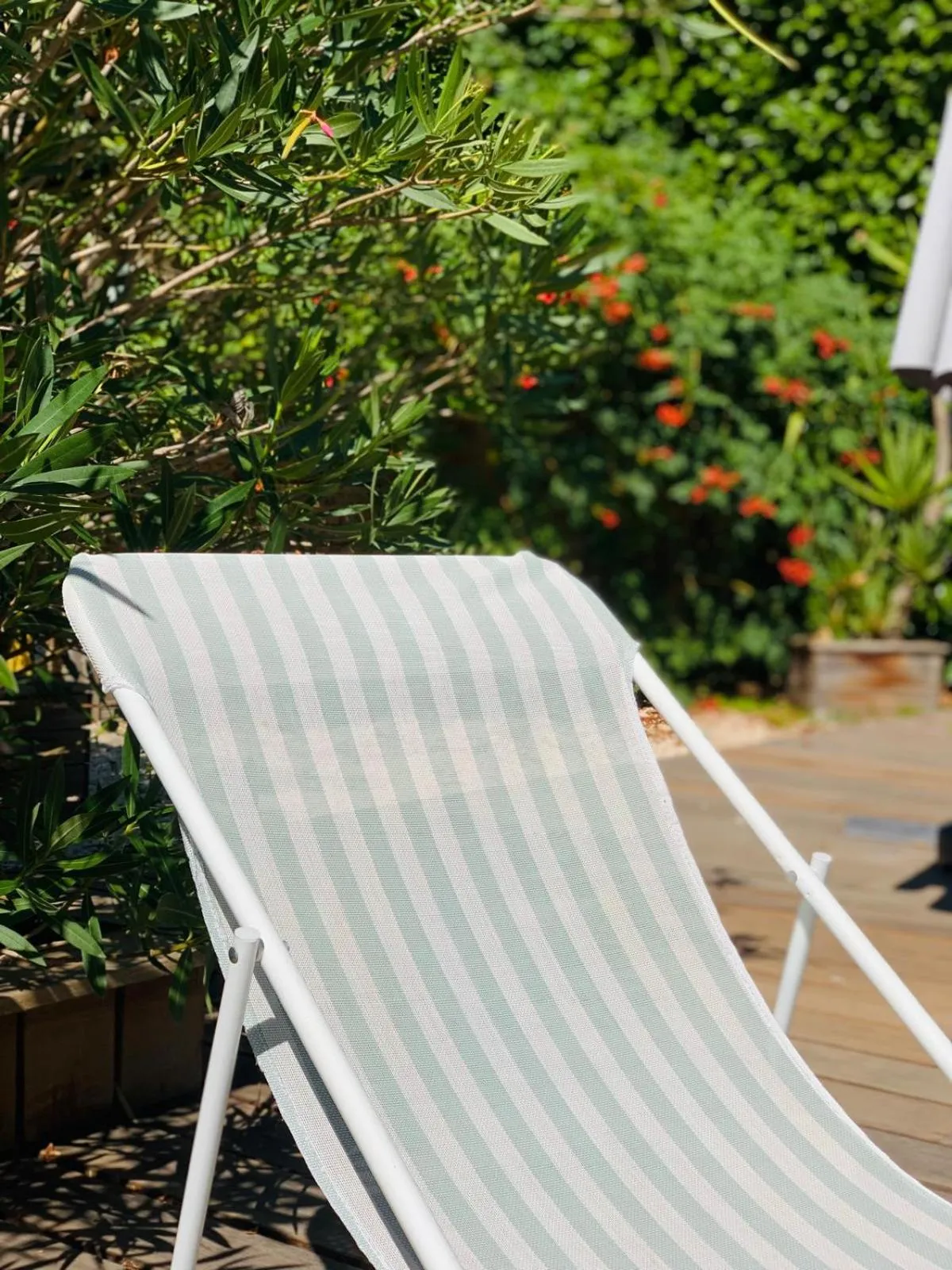 Swimming pool in Le Pavillon Vert - B&B
