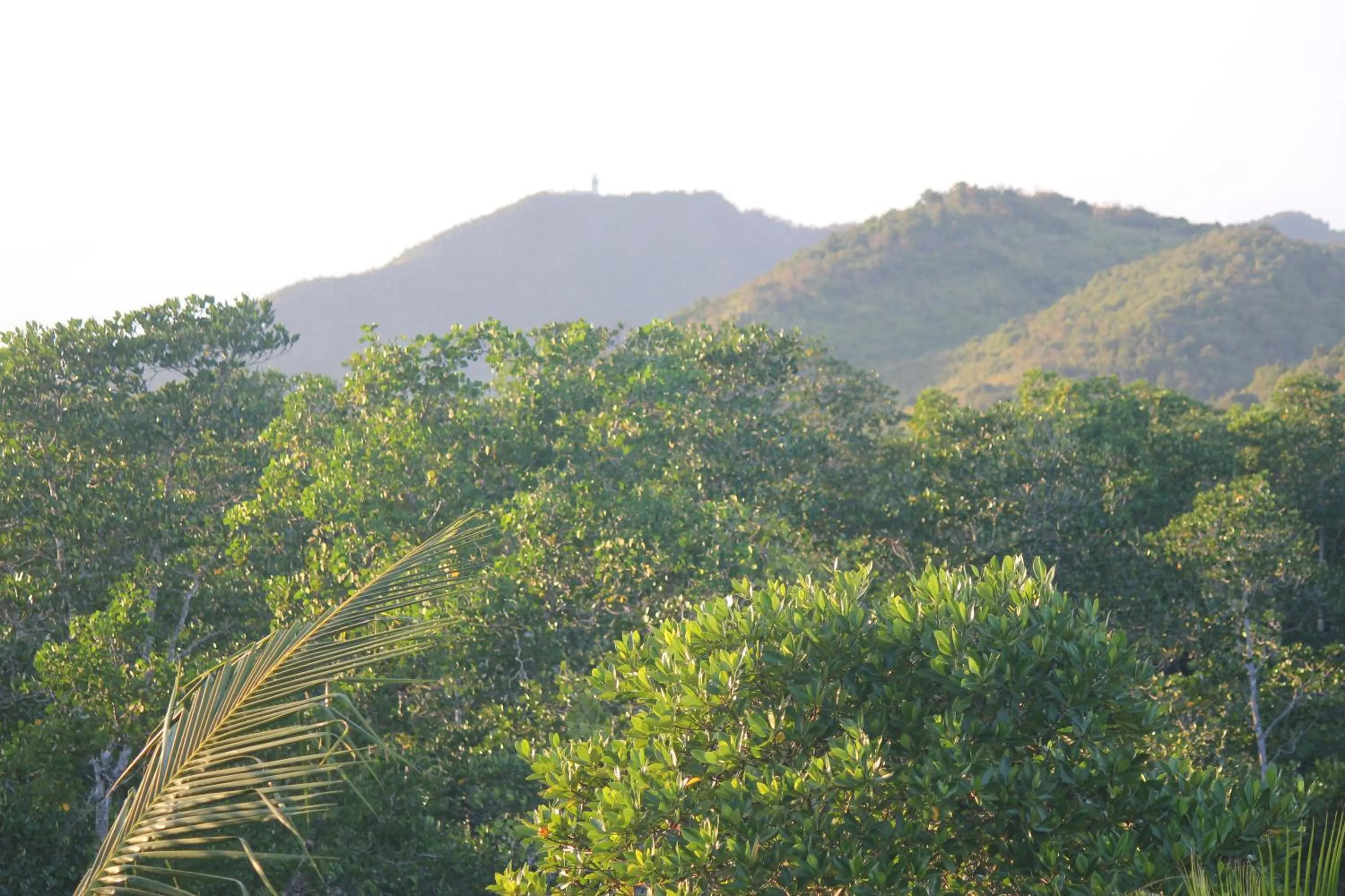Mountain view in West Atlantic Inn