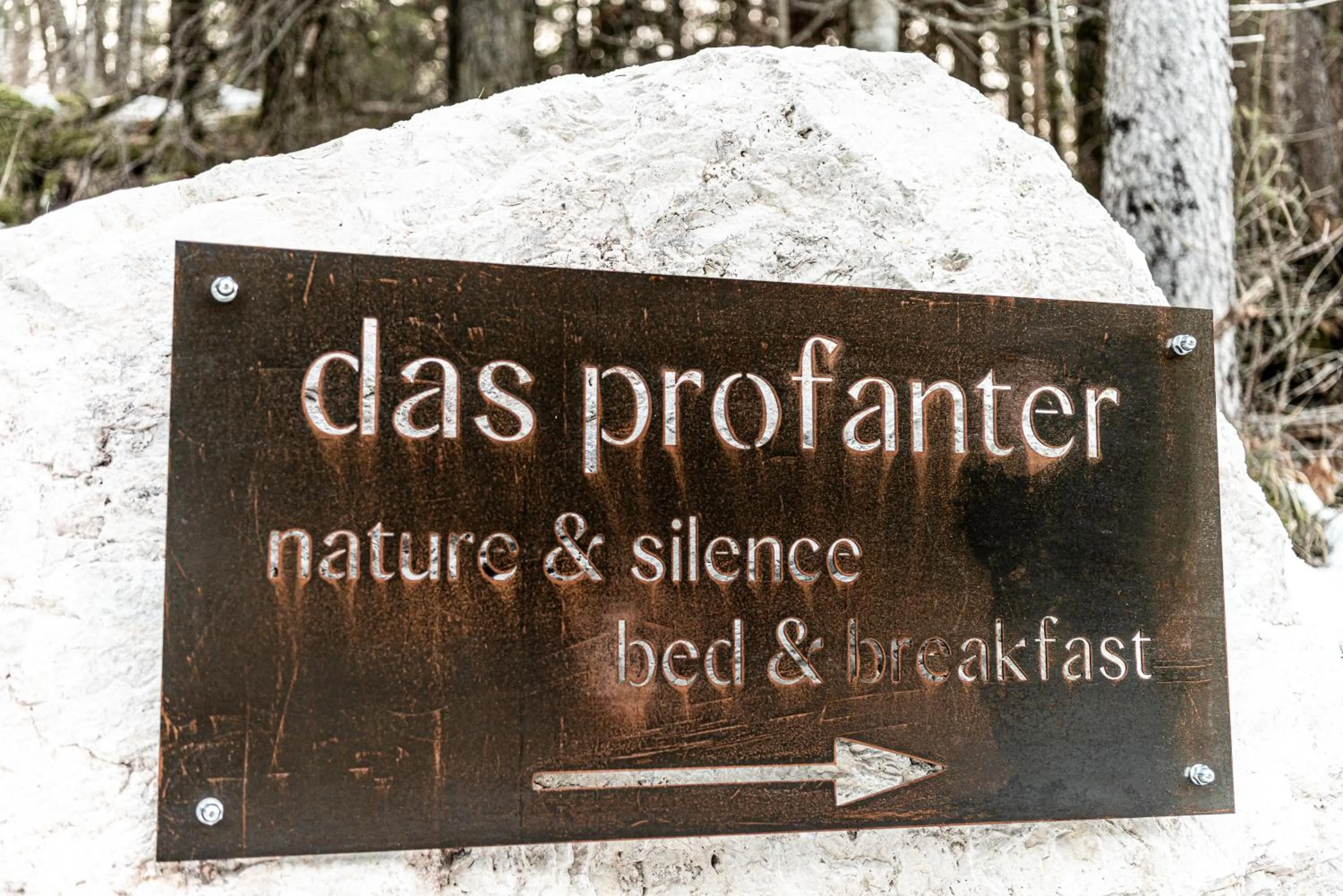 Property building in Hotel Profanter