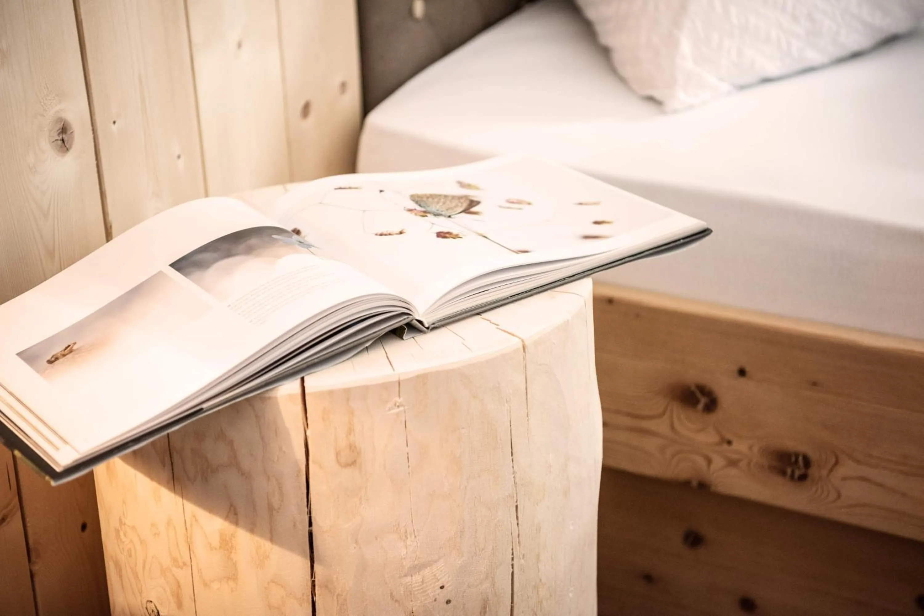 Decorative detail in Hotel Profanter