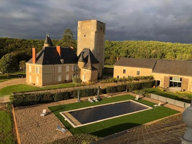 Swimming pool in Château de Mazières