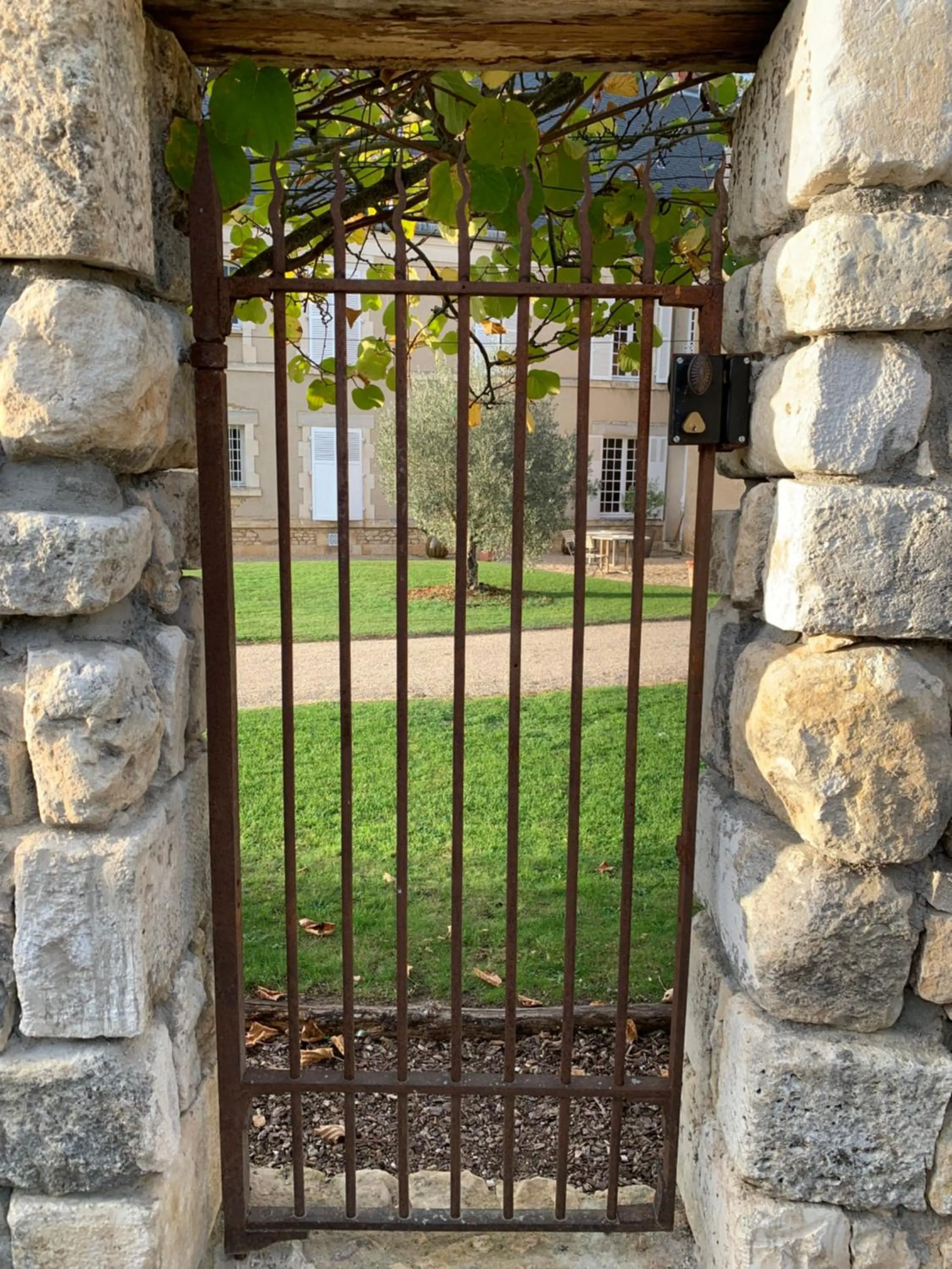 Garden view in Château de Mazières
