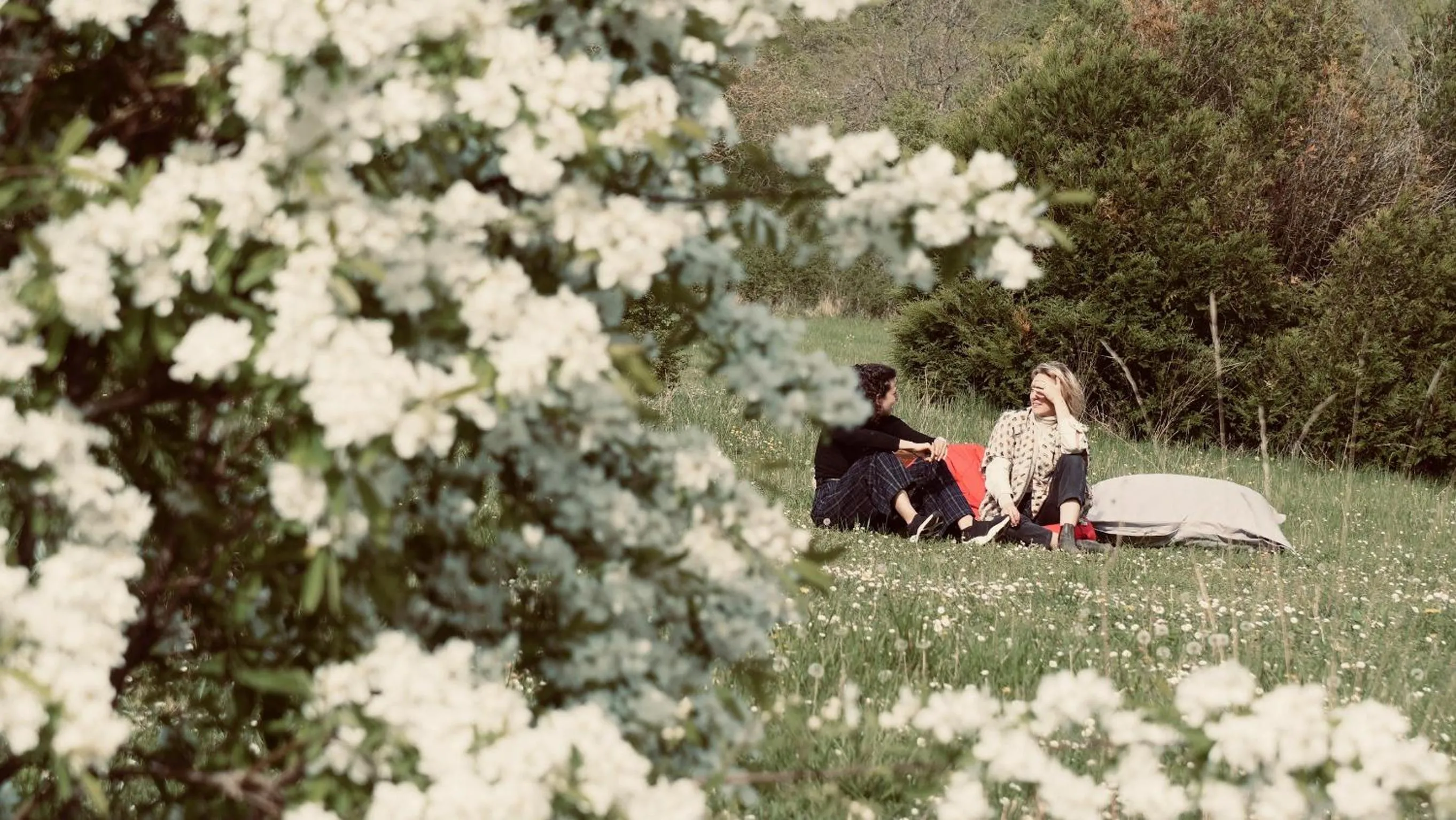 Spring in Domaine Foray