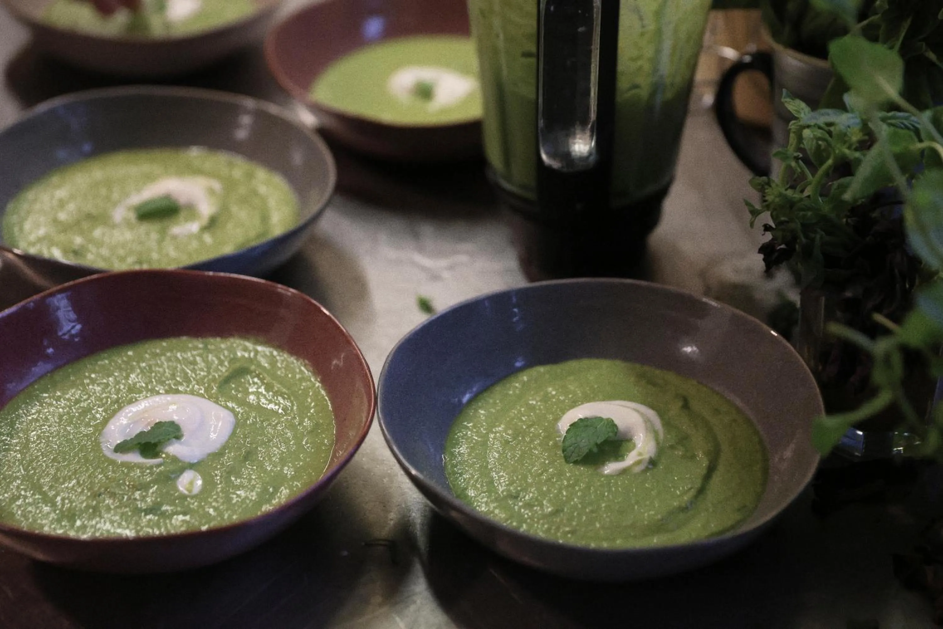 Restaurant/places to eat in Domaine Foray