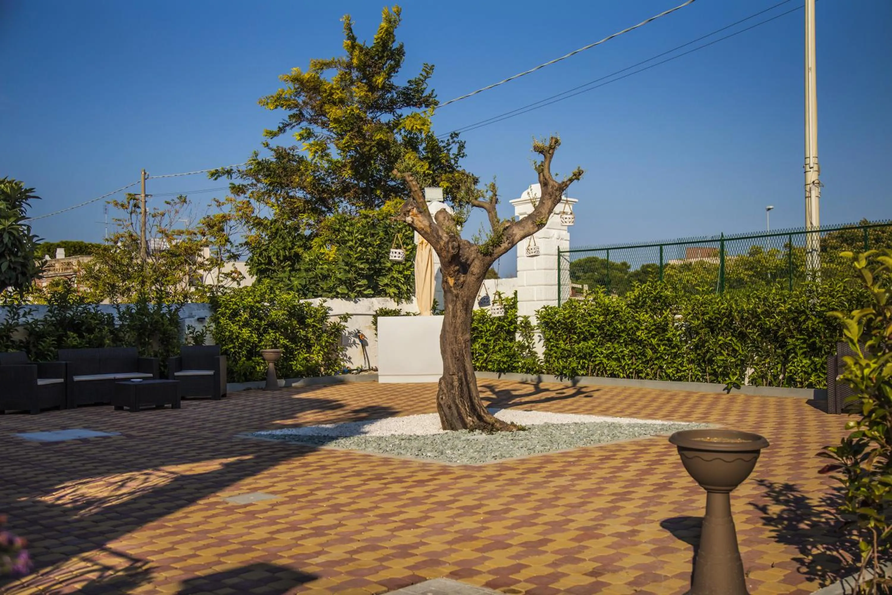 Garden in VILLA ADELAIDE SUITE & ROOM