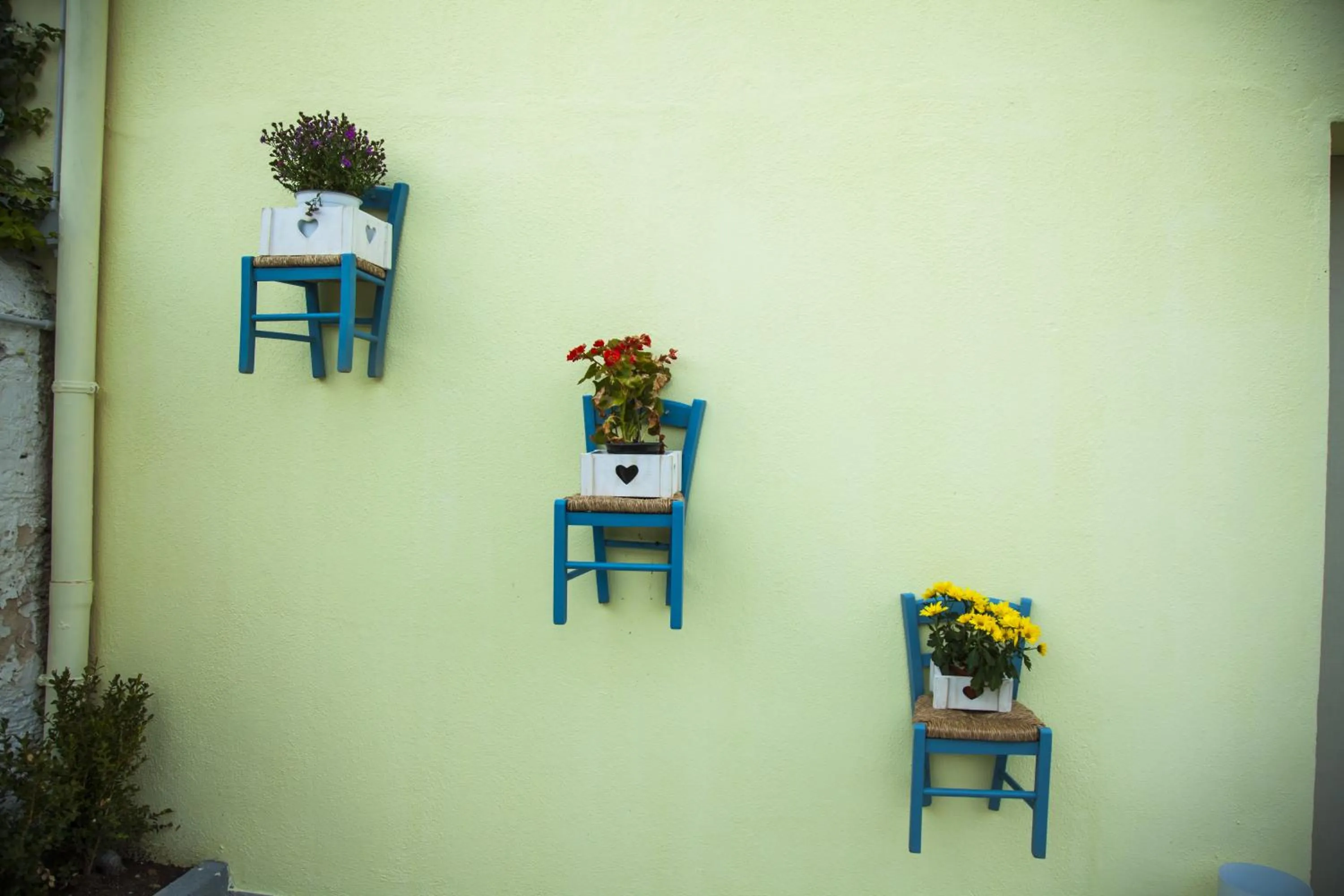 VILLA ADELAIDE SUITE & ROOM