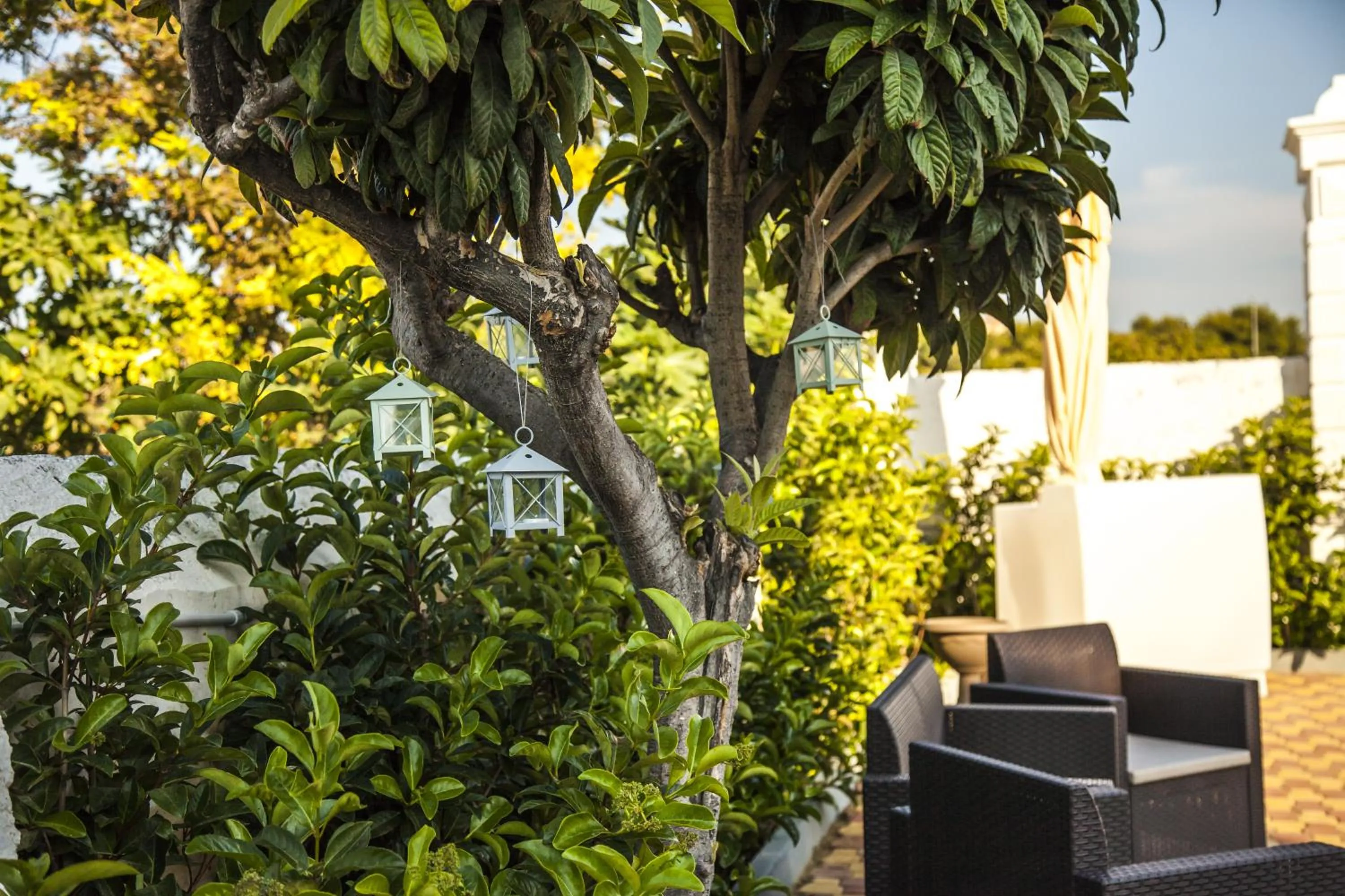 VILLA ADELAIDE SUITE & ROOM