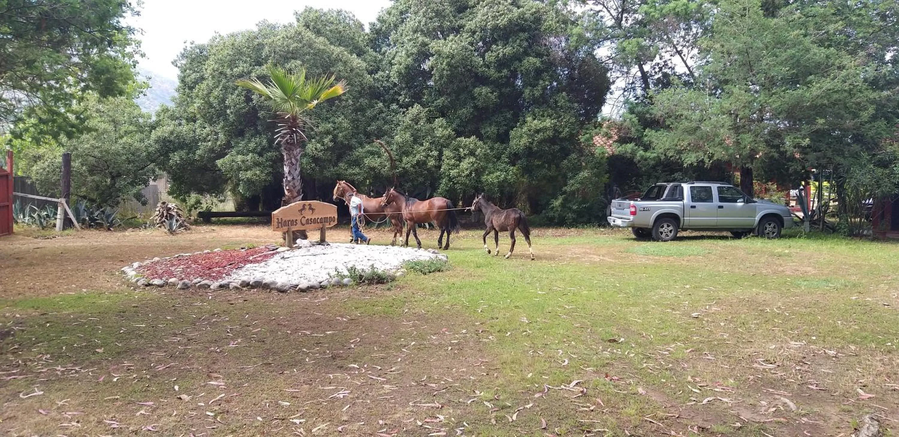 Hotel Haras Casacampo