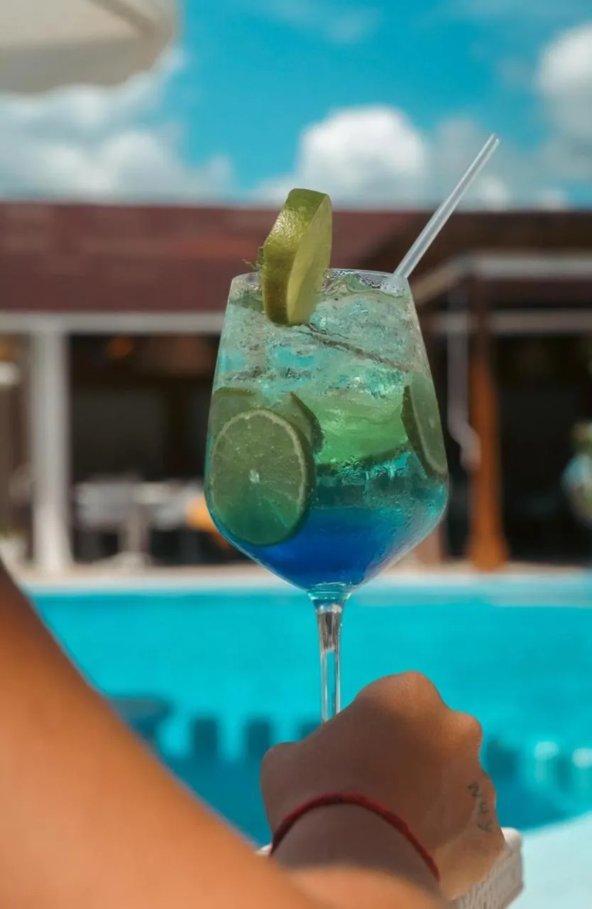 Lounge or bar in Soficu Hotel El Edén Dominicus