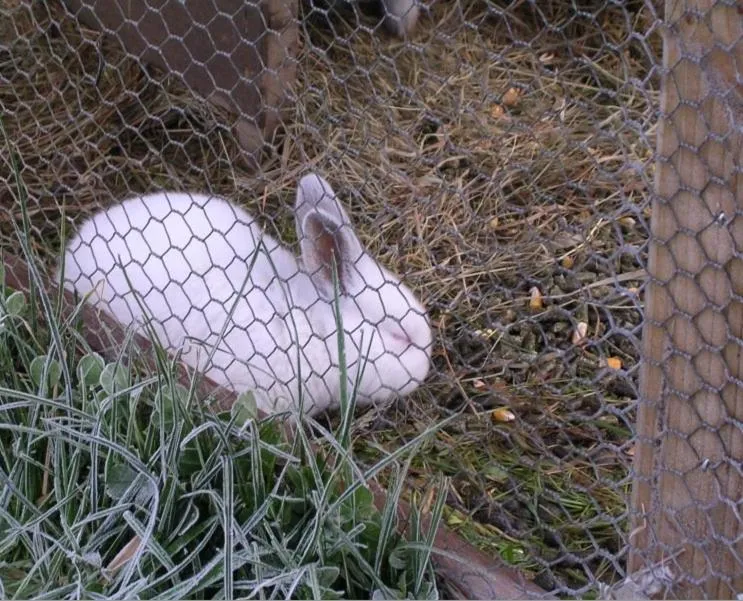 Chambres d'Hôtes Oyhanartia