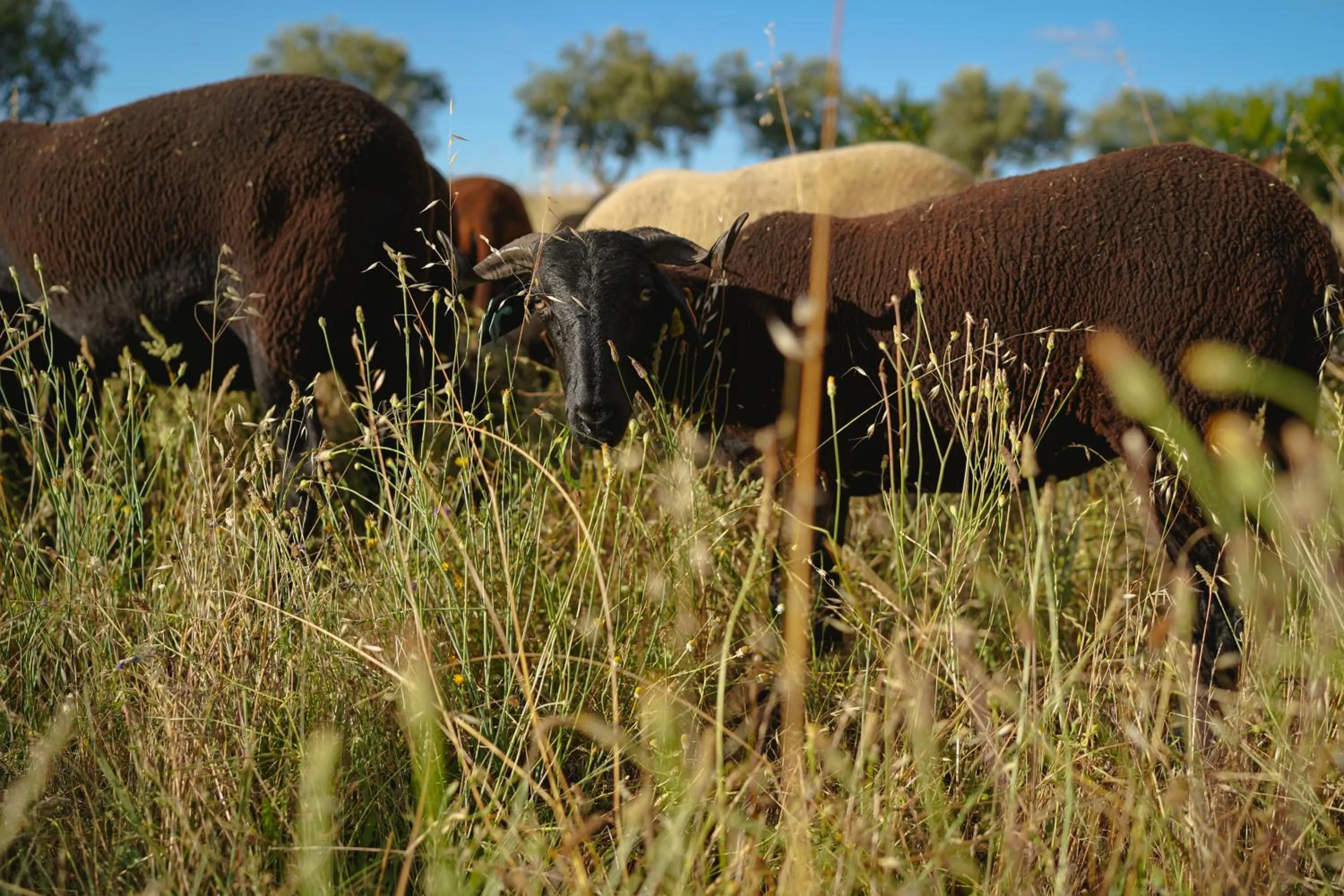 Day in Madre de Água Hotel Rural de Charme
