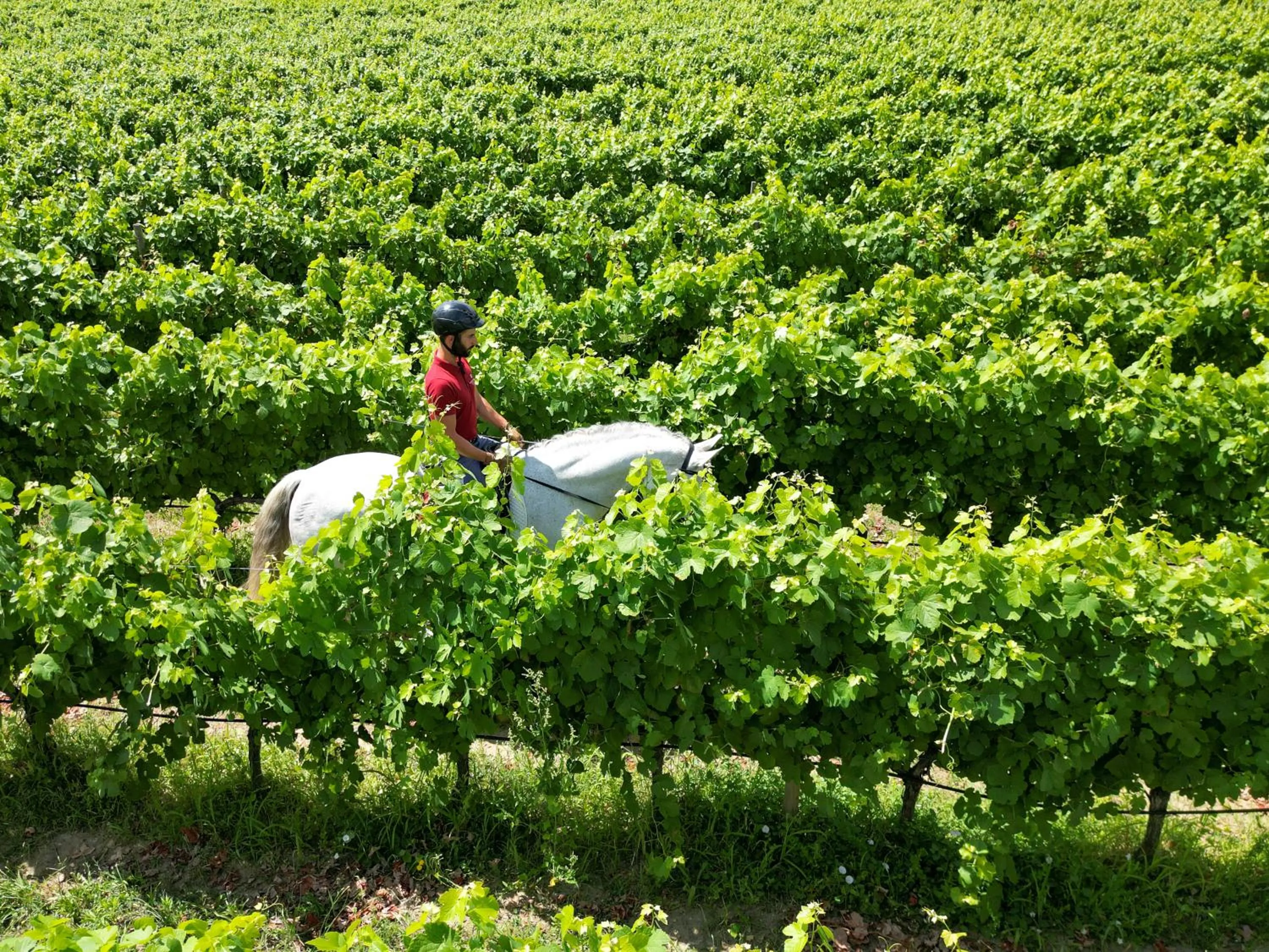 Day in Madre de Água Hotel Rural de Charme