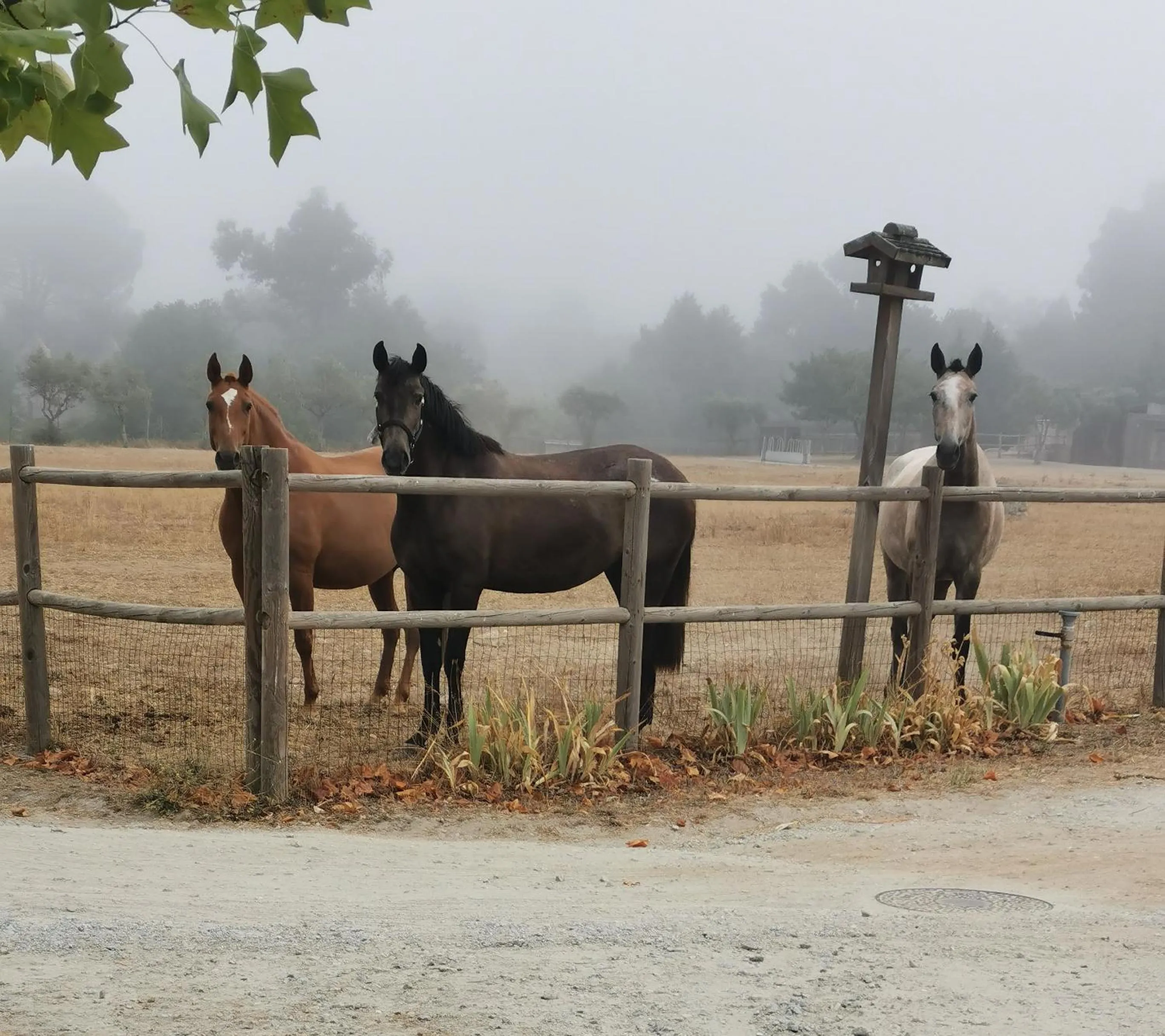 Day in Madre de Água Hotel Rural de Charme