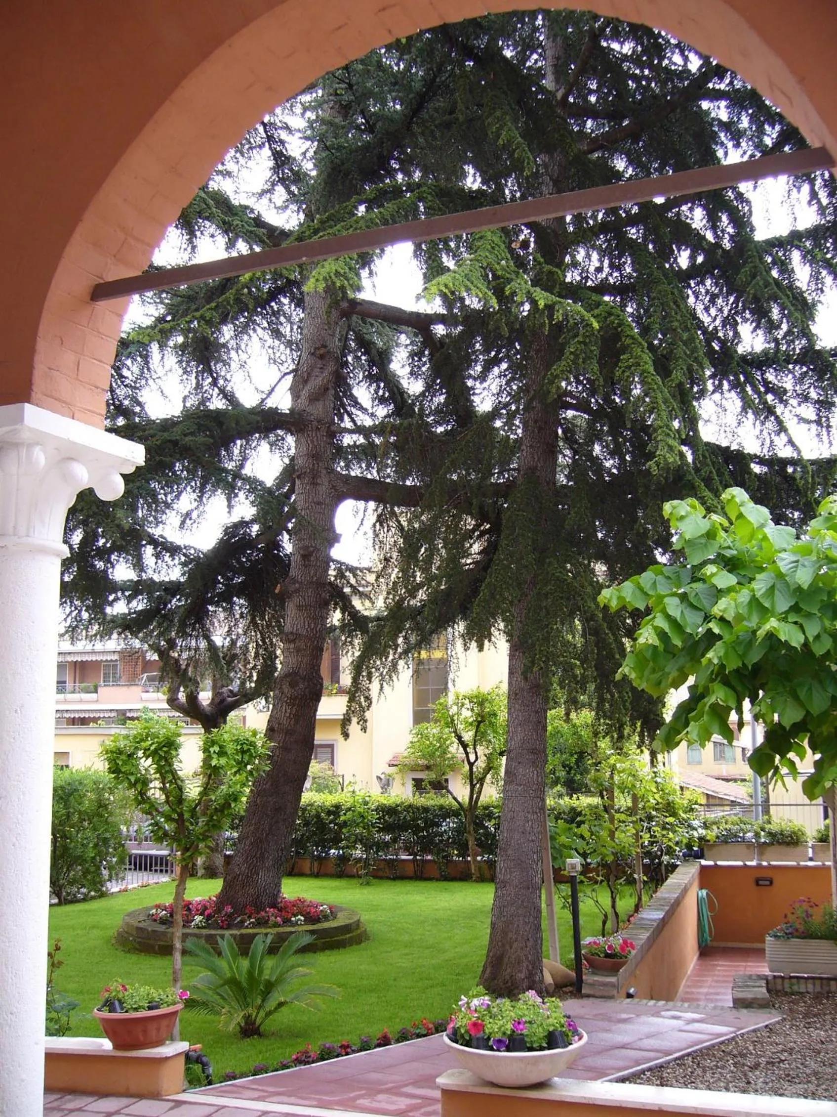 Garden in La Casa di Nazareth