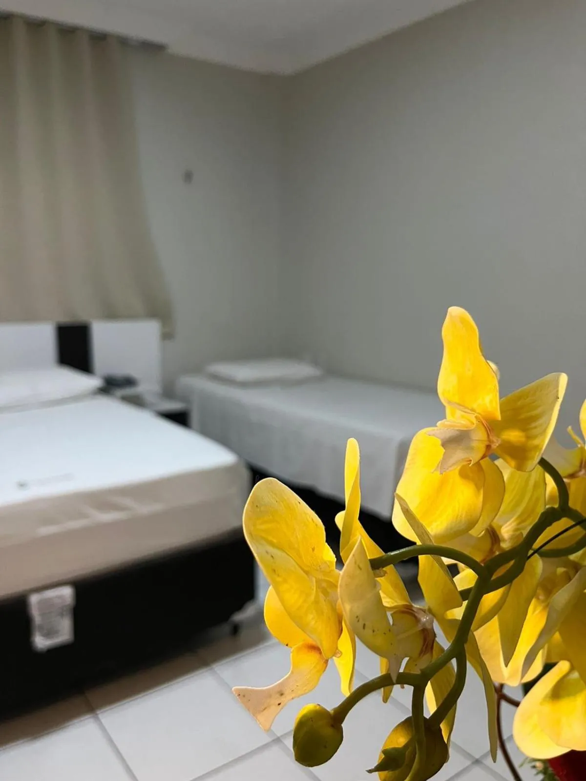 Bed in Hotel Visconde