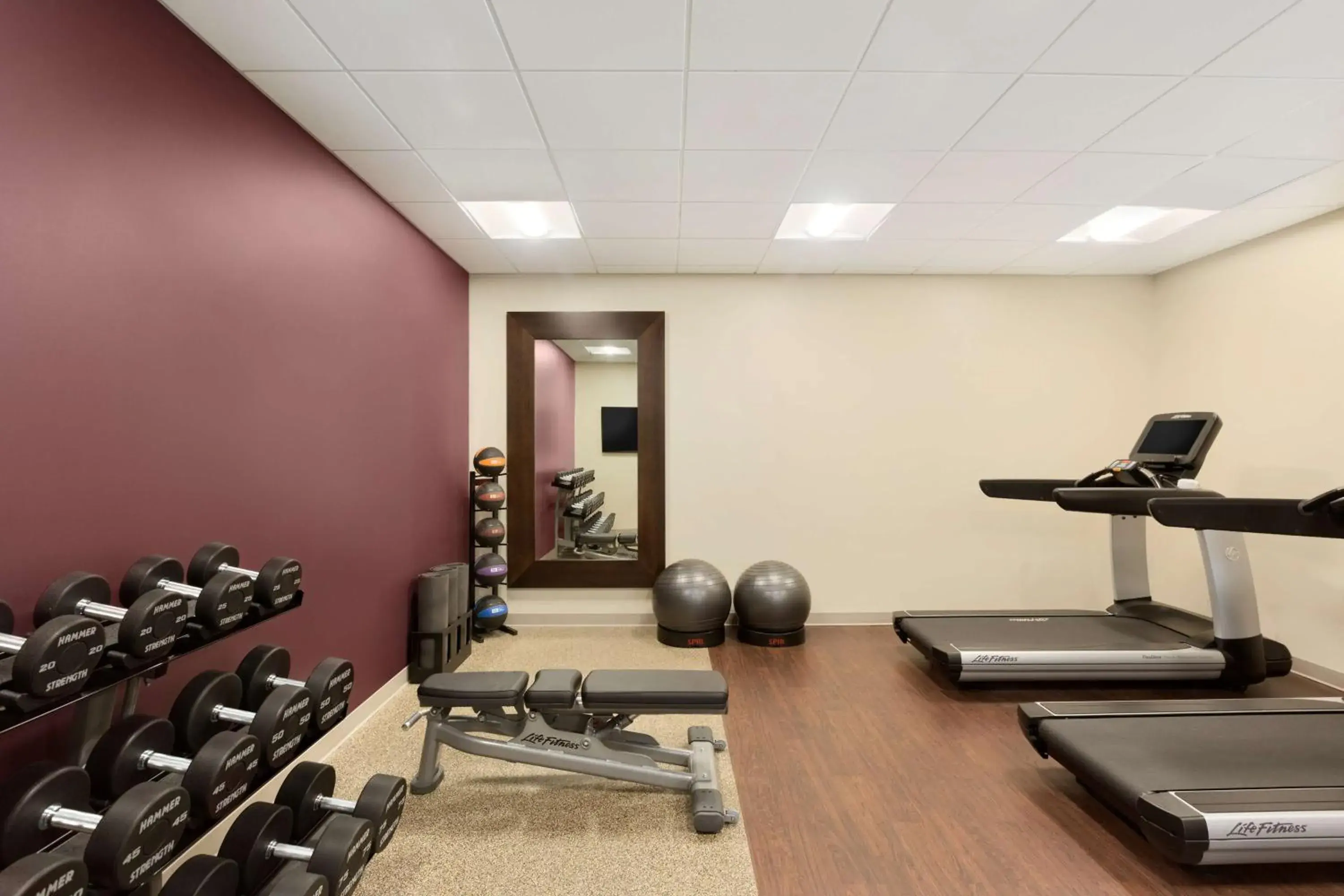 Fitness centre/facilities in Embassy Suites by Hilton Phoenix Downtown North Fitness centre/facilities in Embassy Suites by Hilton Phoenix Downtown North