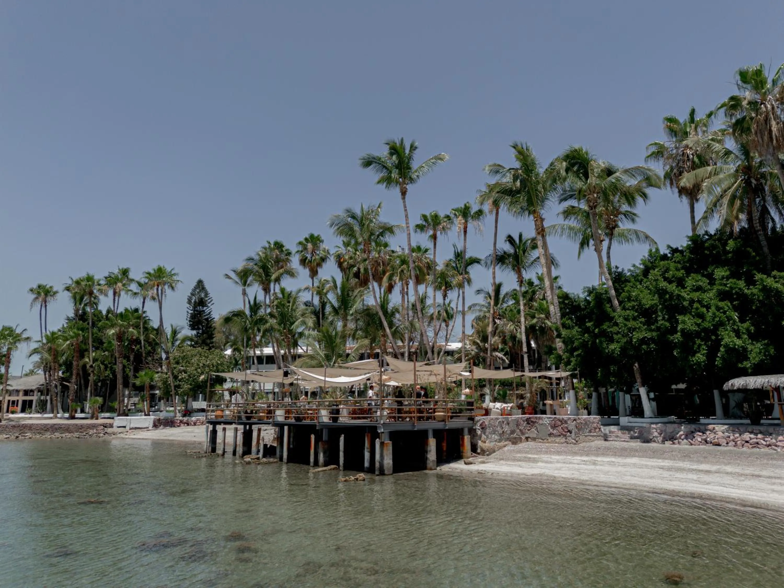 Natural landscape in La Concha Beach Hotel & Club