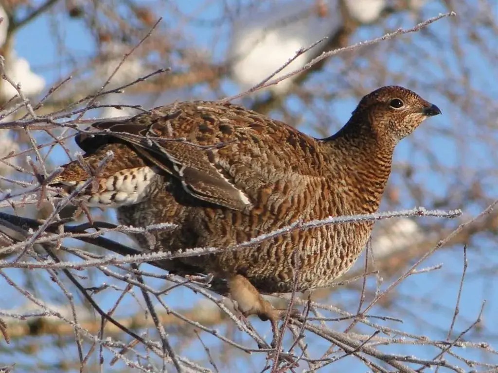 View (from property/room) in Binnilidh Mhor B&B View (from property/room) in Binnilidh Mhor B&B