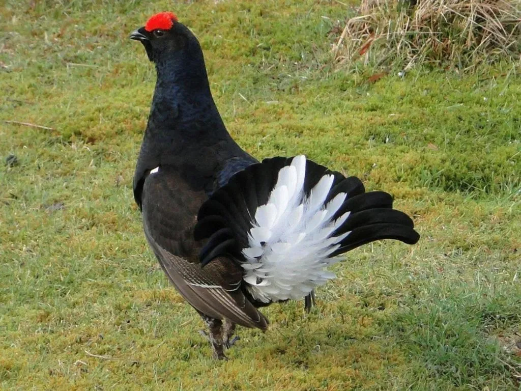 View (from property/room) in Binnilidh Mhor B&B
