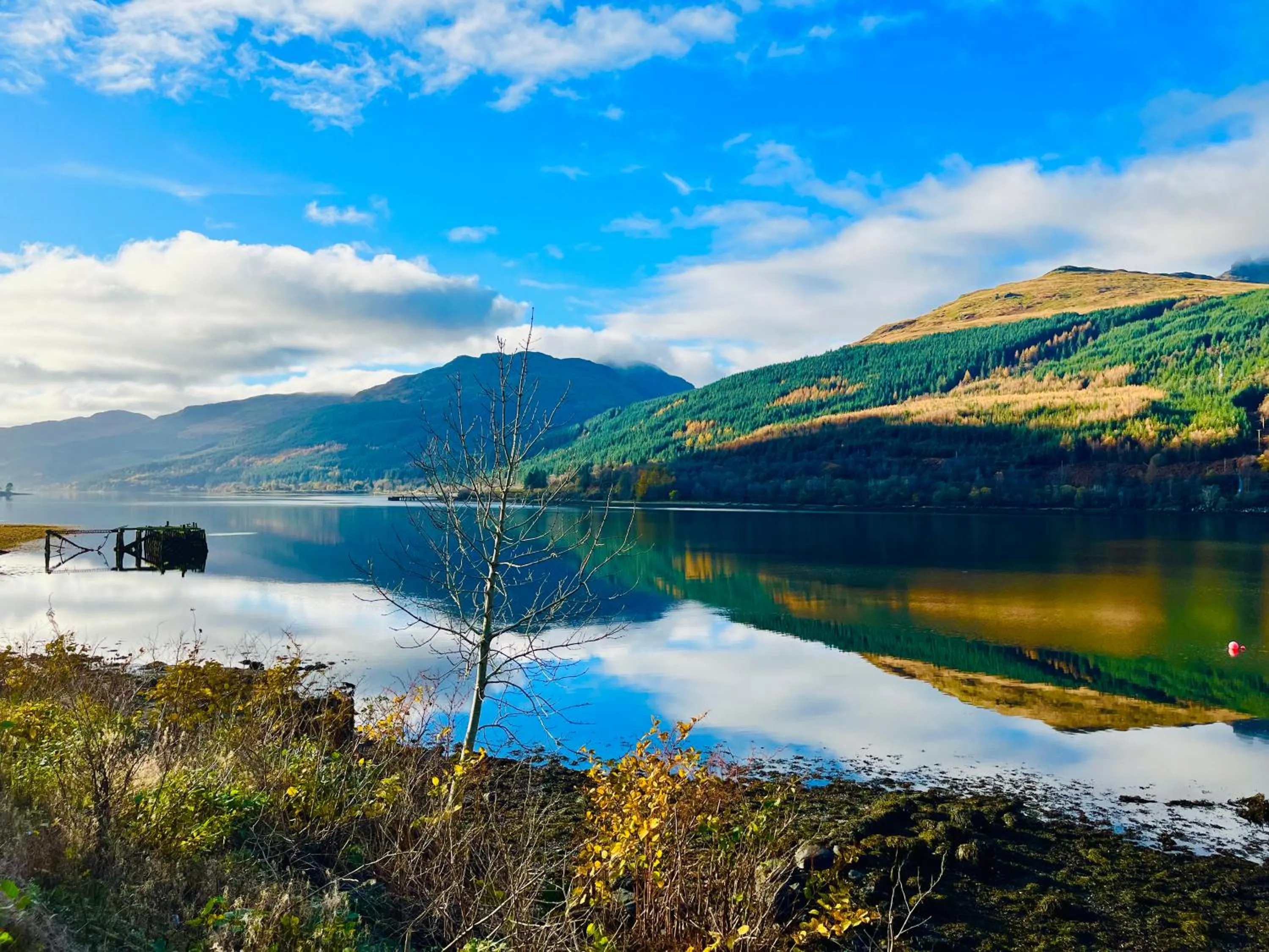 Lake view in Rowantreebank Bed and Breakfast