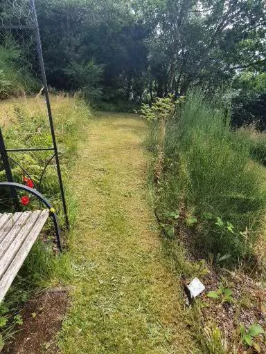 Garden in Rowantreebank Bed and Breakfast