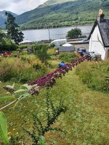 Garden in Rowantreebank Bed and Breakfast