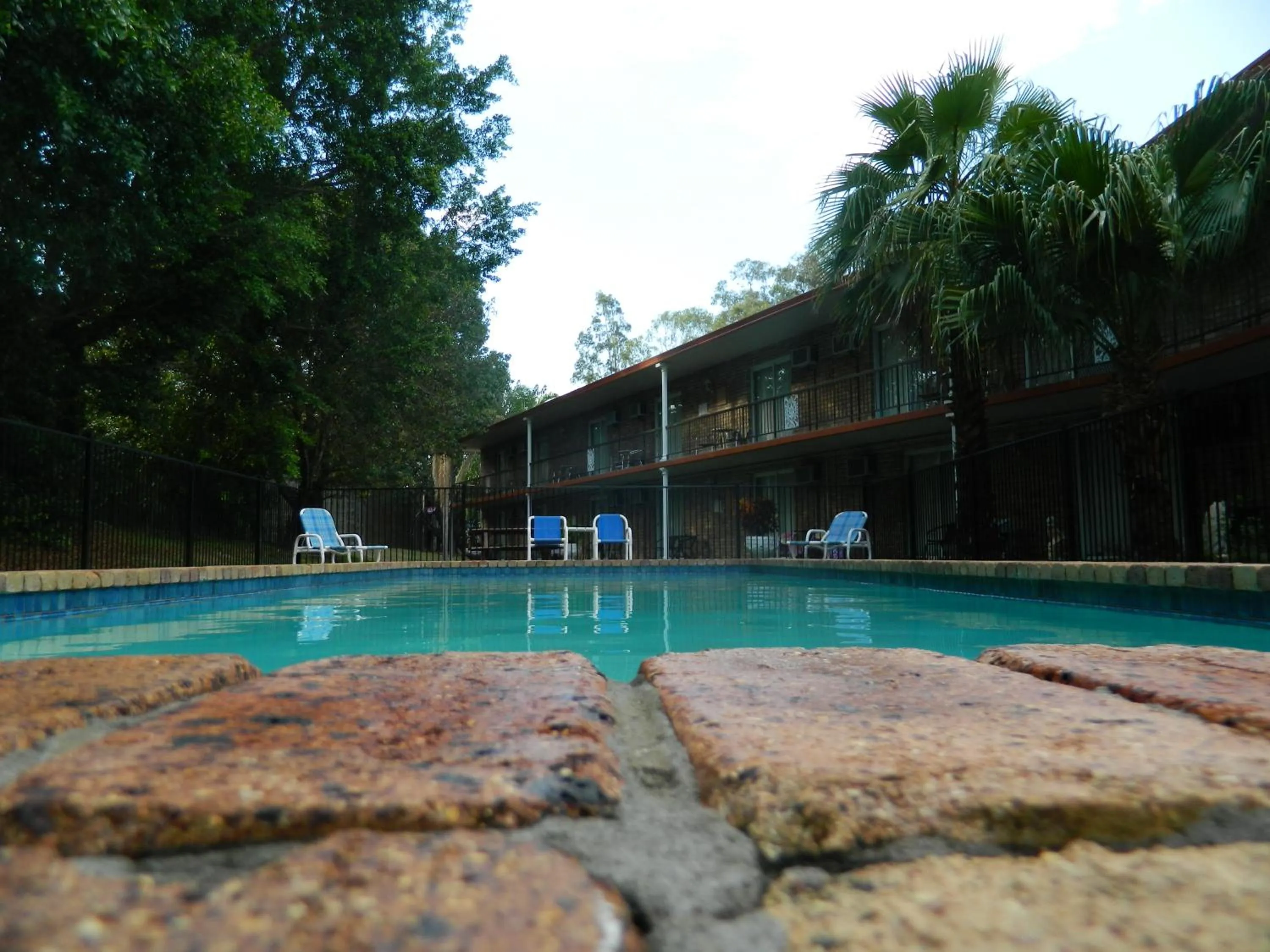 Swimming pool in Coomera Motor Inn