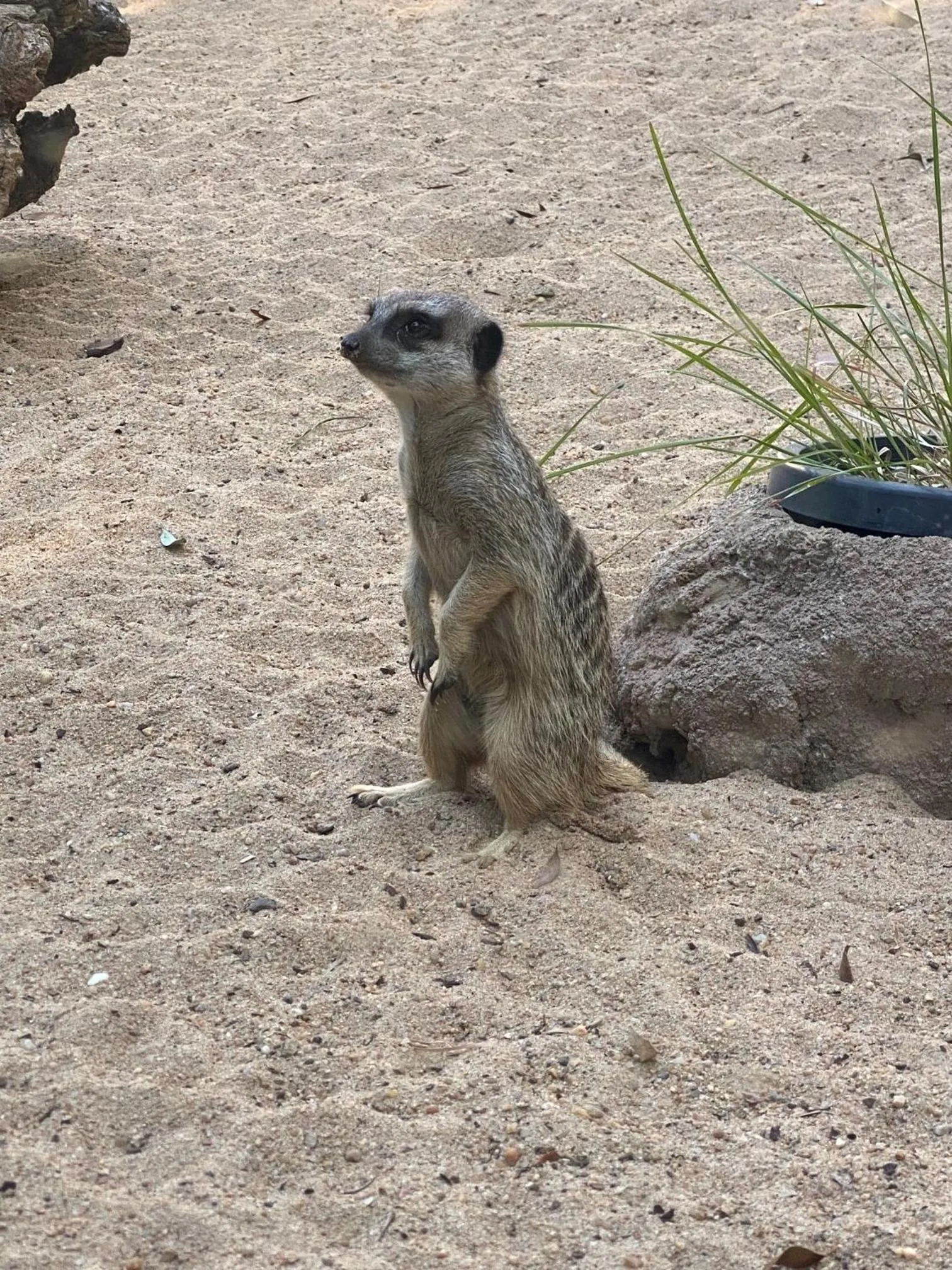 Nearby landmark in Cityville Apartments & Motel
