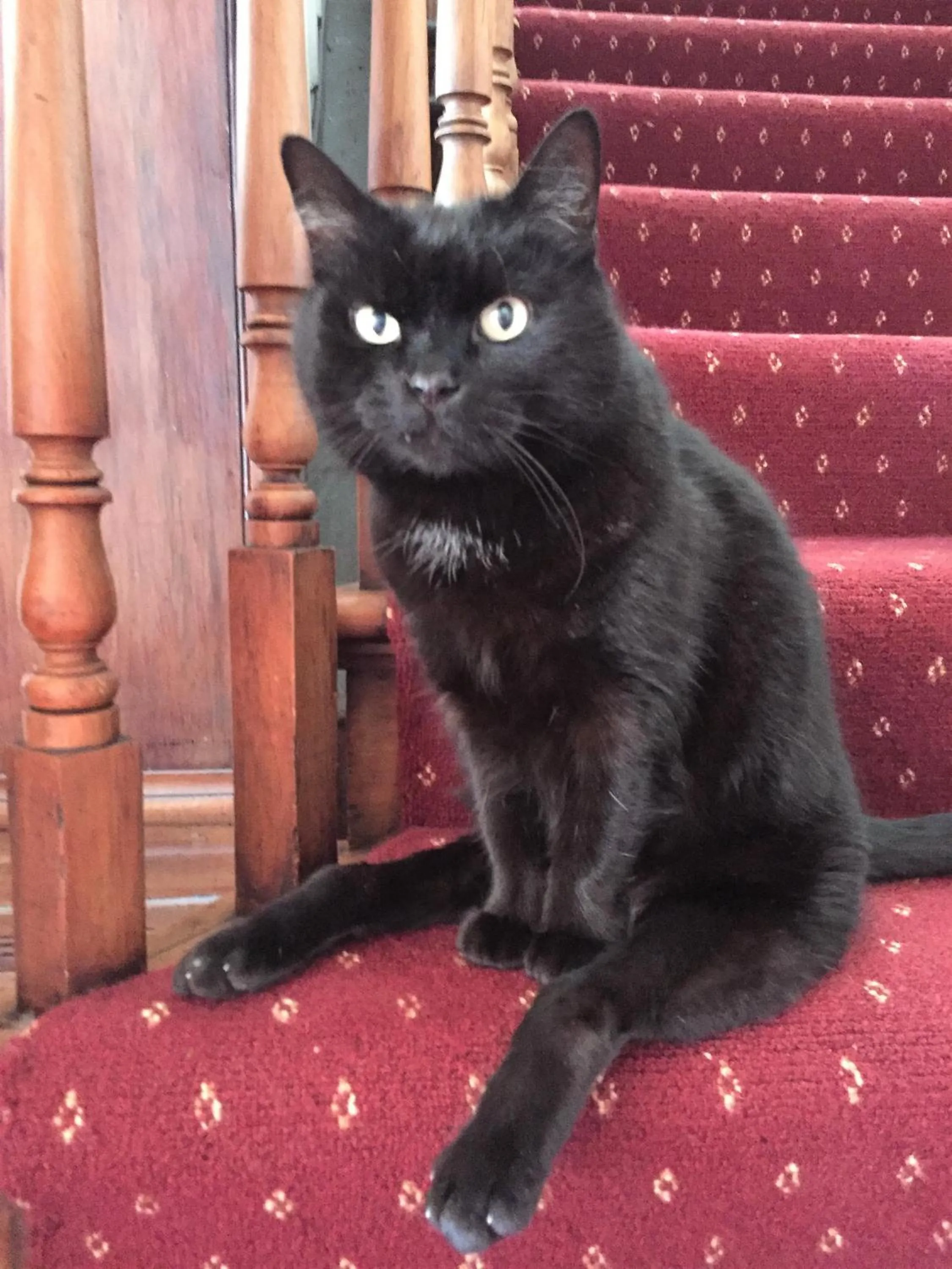 Tripinn Airconditioned Motels & Affordable Accommodation