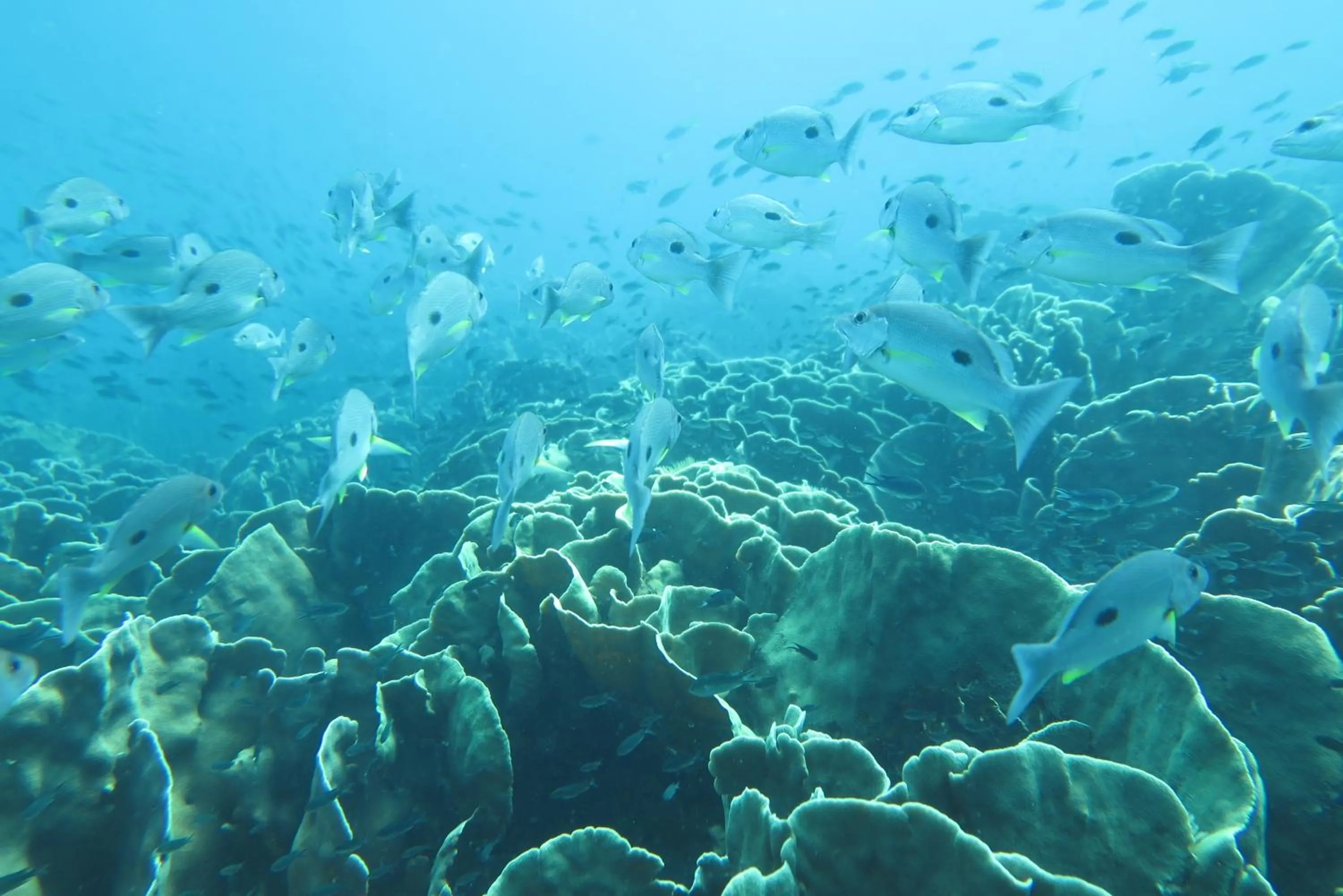 Activities in Soneva Kiri