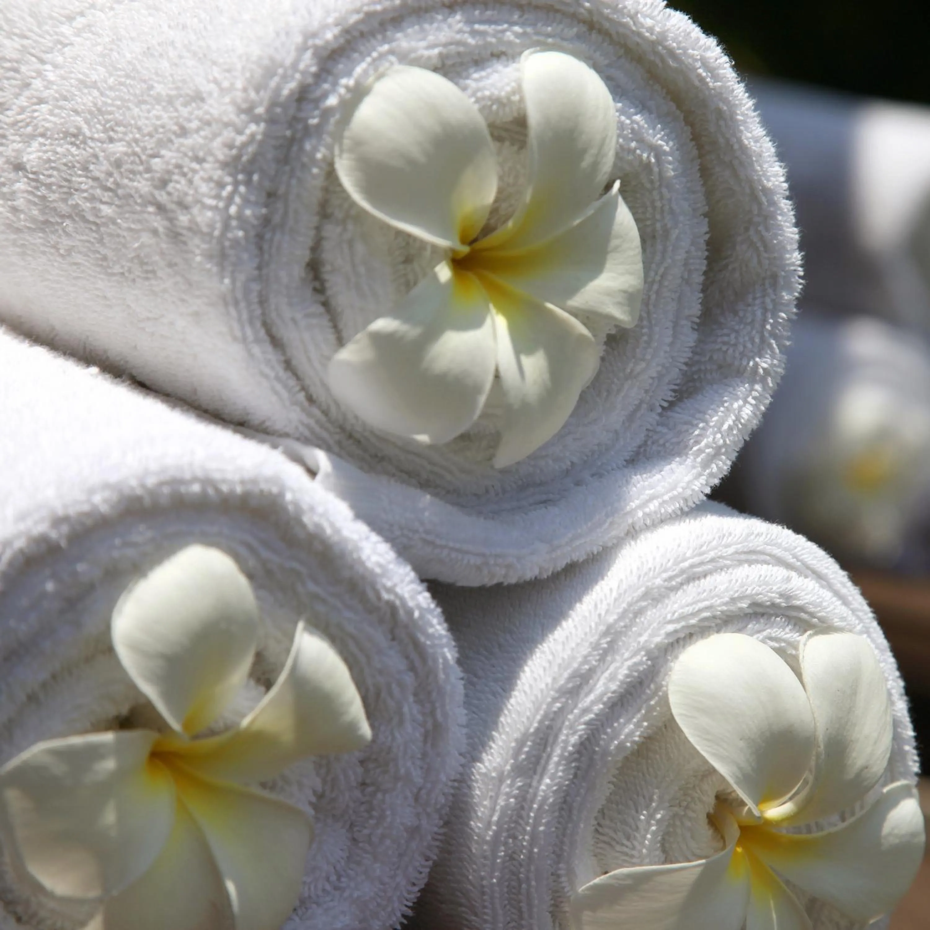 Decorative detail in Nyaman Villas Seminyak