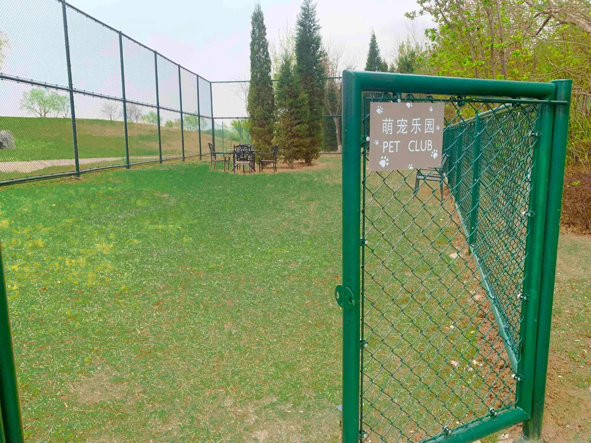 Other in Crowne Plaza Tianjin Jinnan by IHG