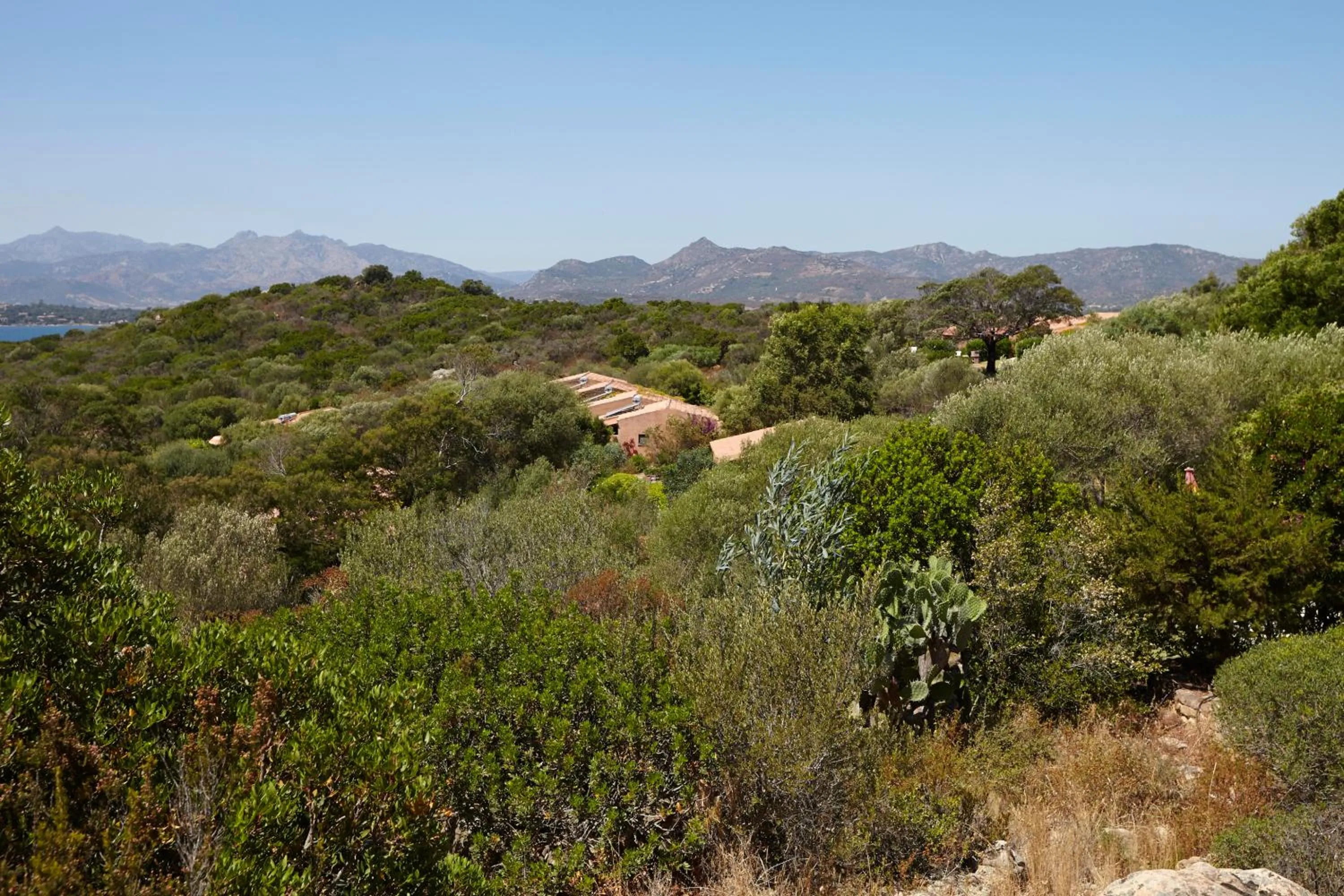 Garden in Residence Baia Salinedda