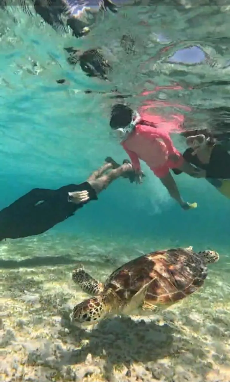 Banana Leaf Bungalow